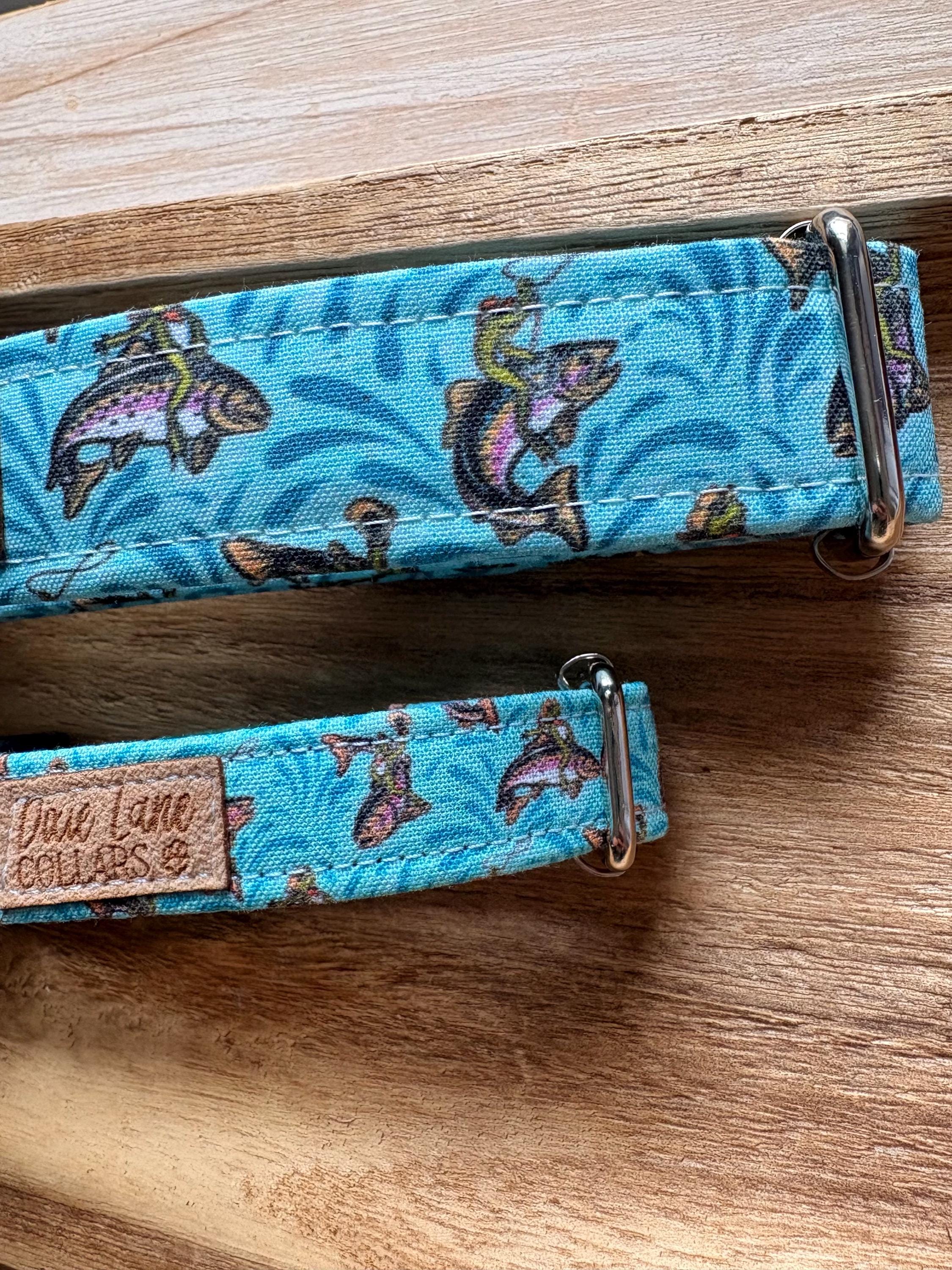 Rodeo Western Frogs Dog Collars