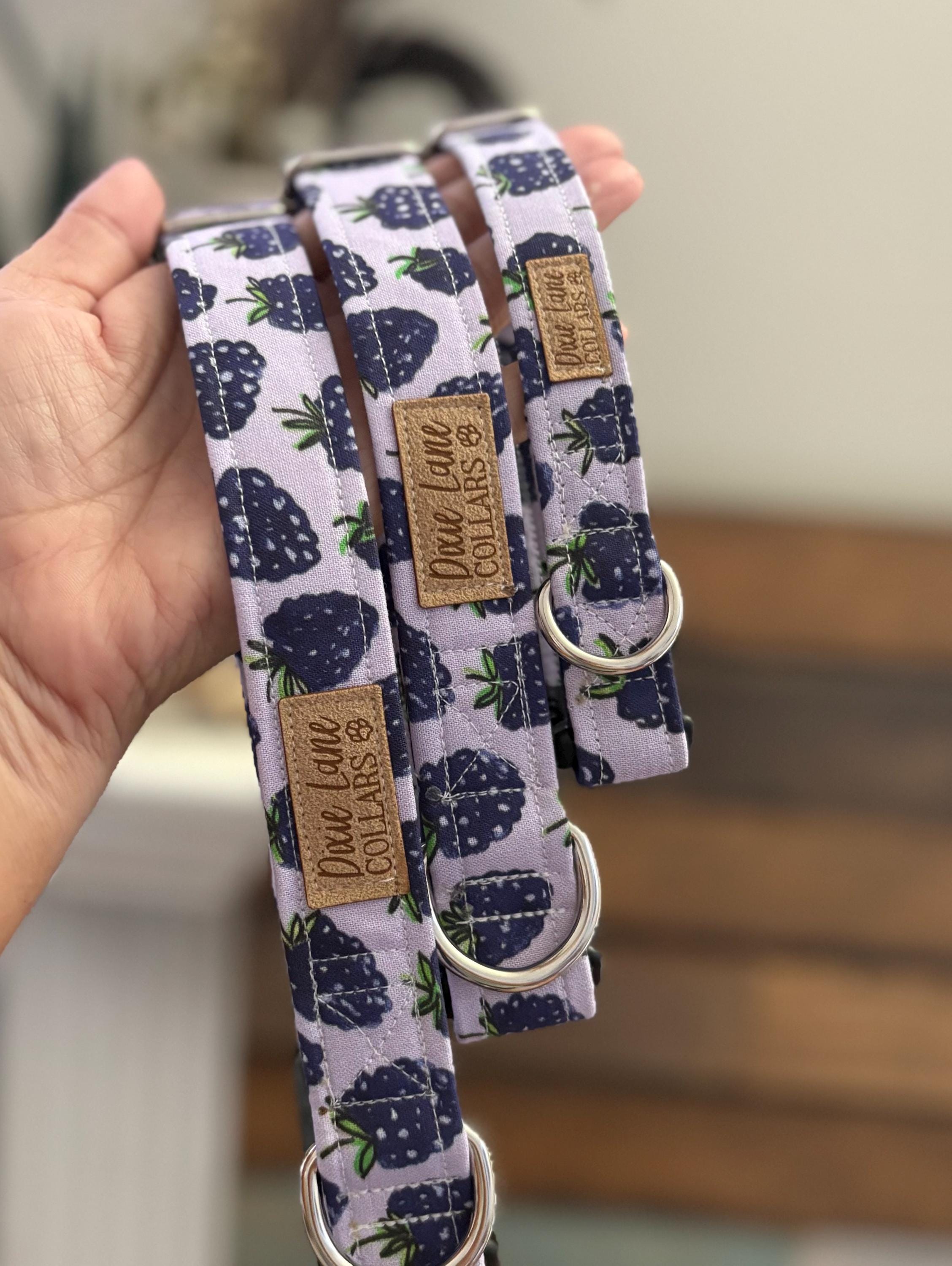 Purple Blackberry Toss Dog Collar