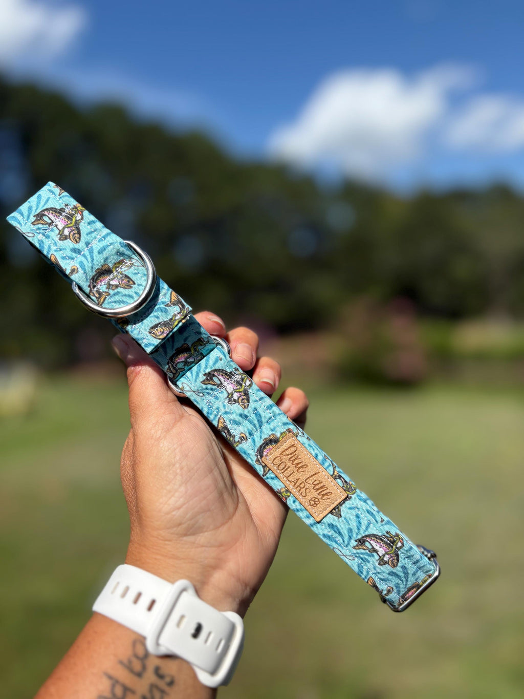 Rodeo Western Frogs Dog Collars
