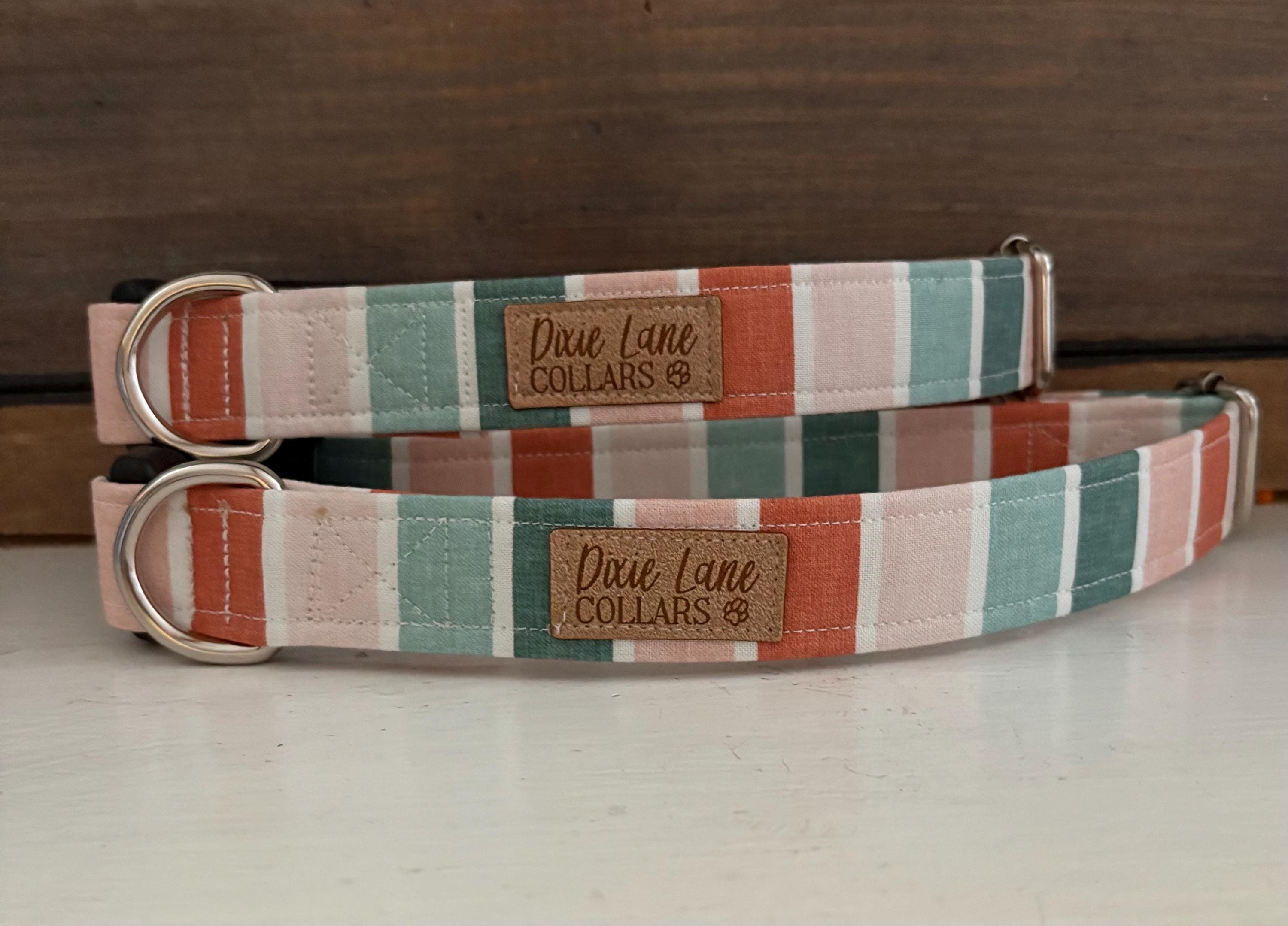 Terra cotta and Blue Sunset Stripe Dog Collar