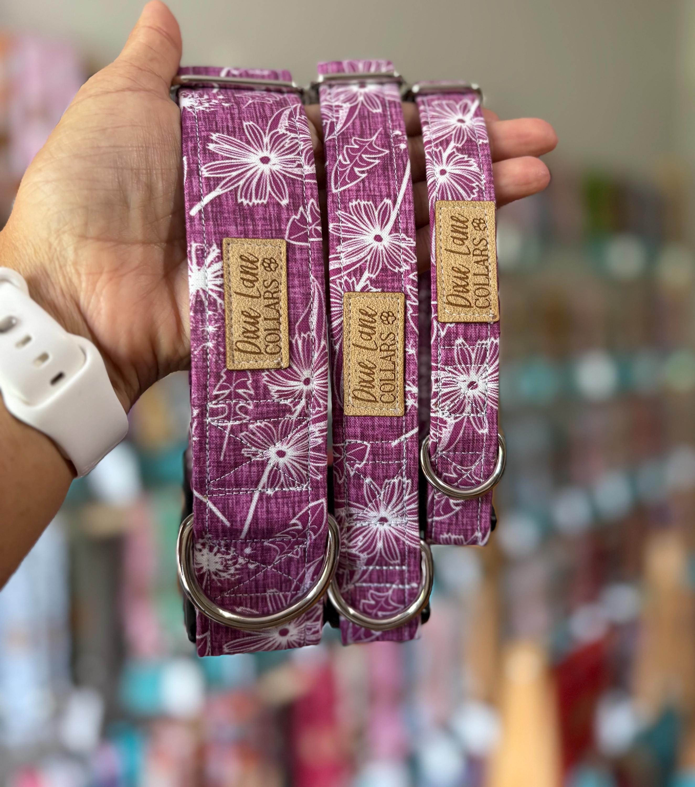 Dandelions Dog Collar