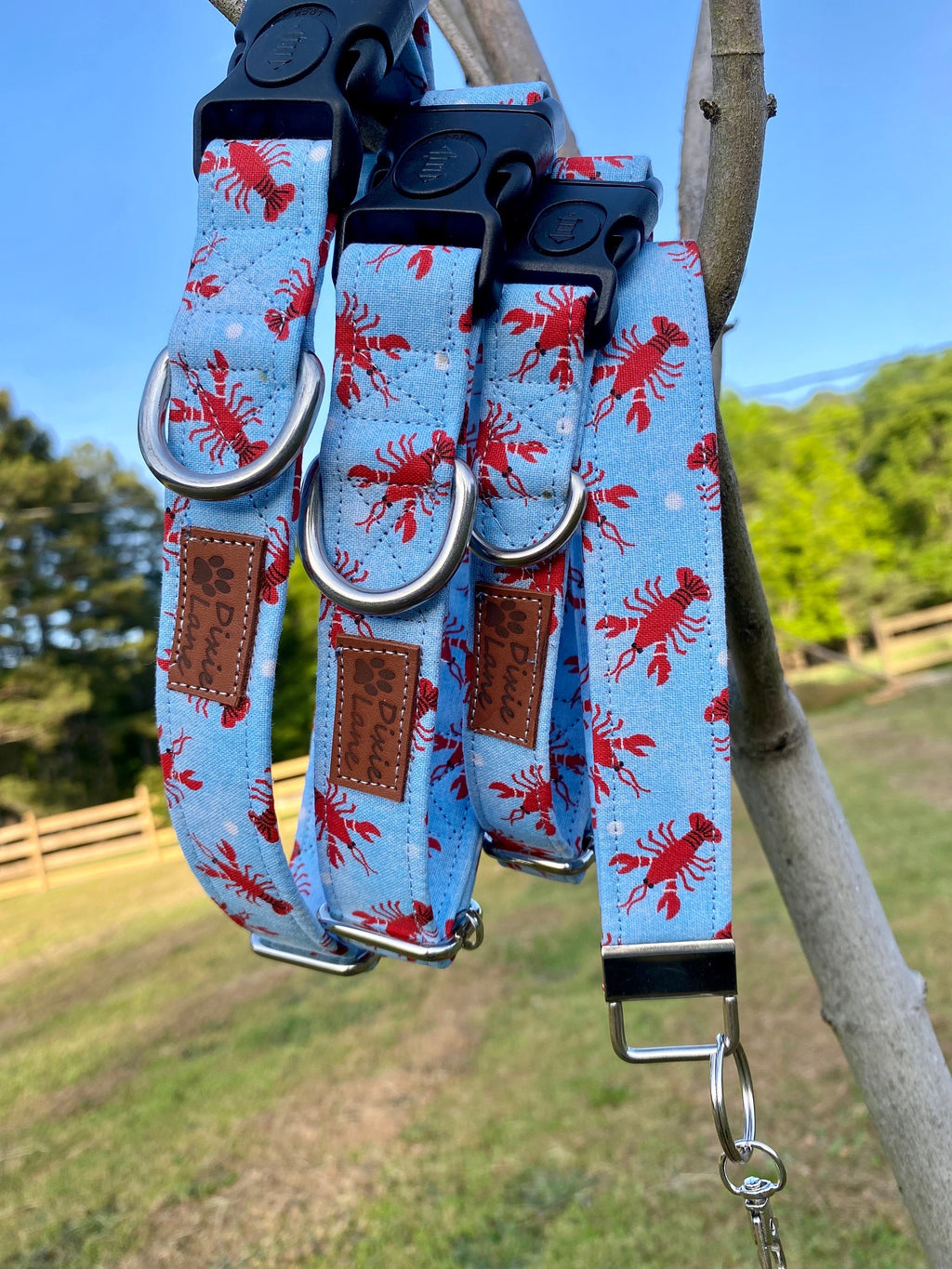 Lobster Print Dog Collar