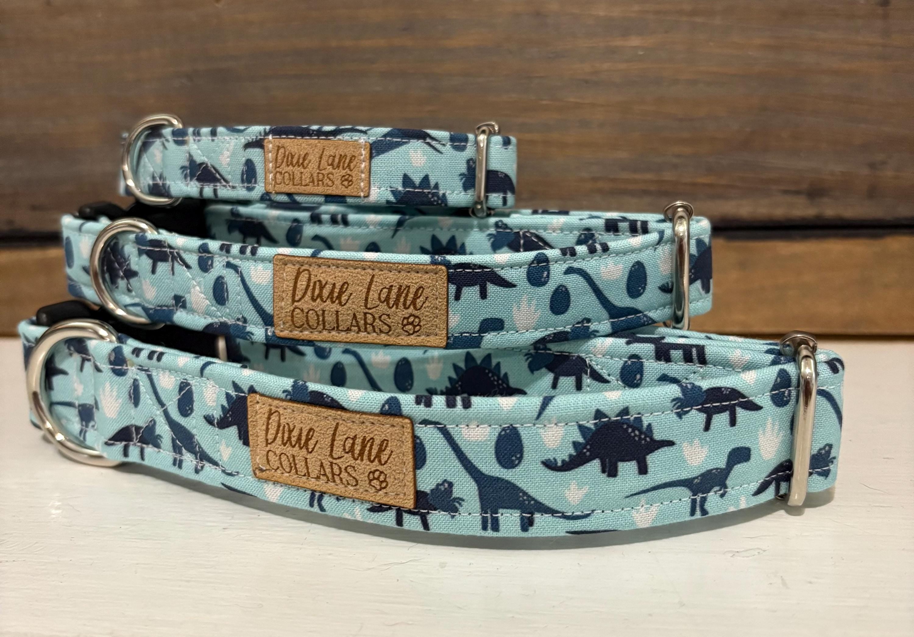Blue Dinosaur Dog Collar