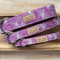 Dandelions Dog Collar