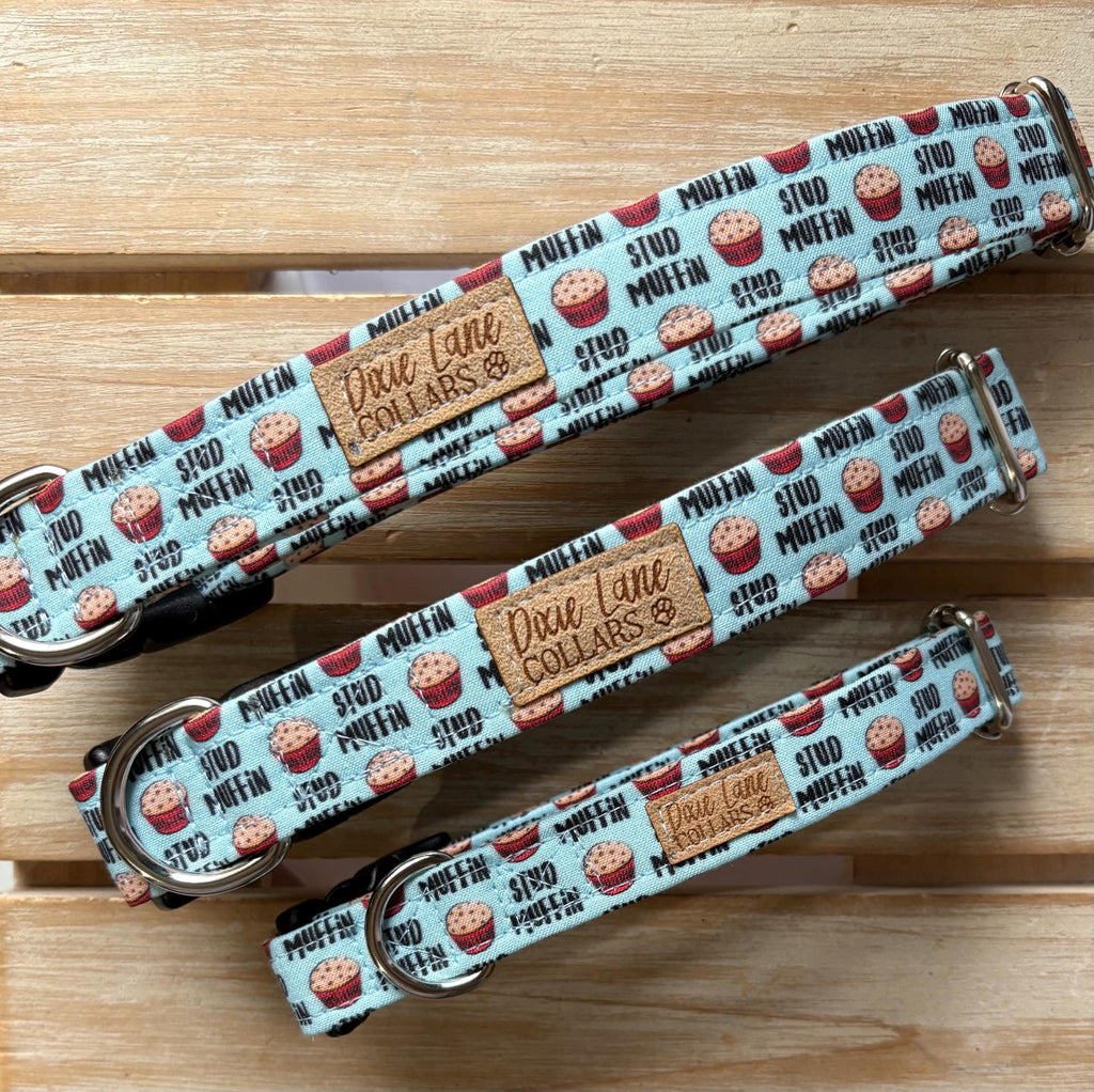 Stud Muffin Dog Collar