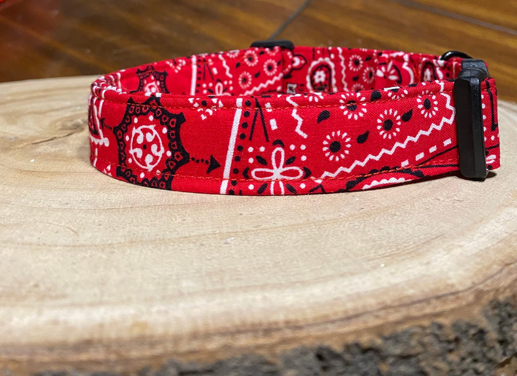 Red Bandana Western Dog Collar