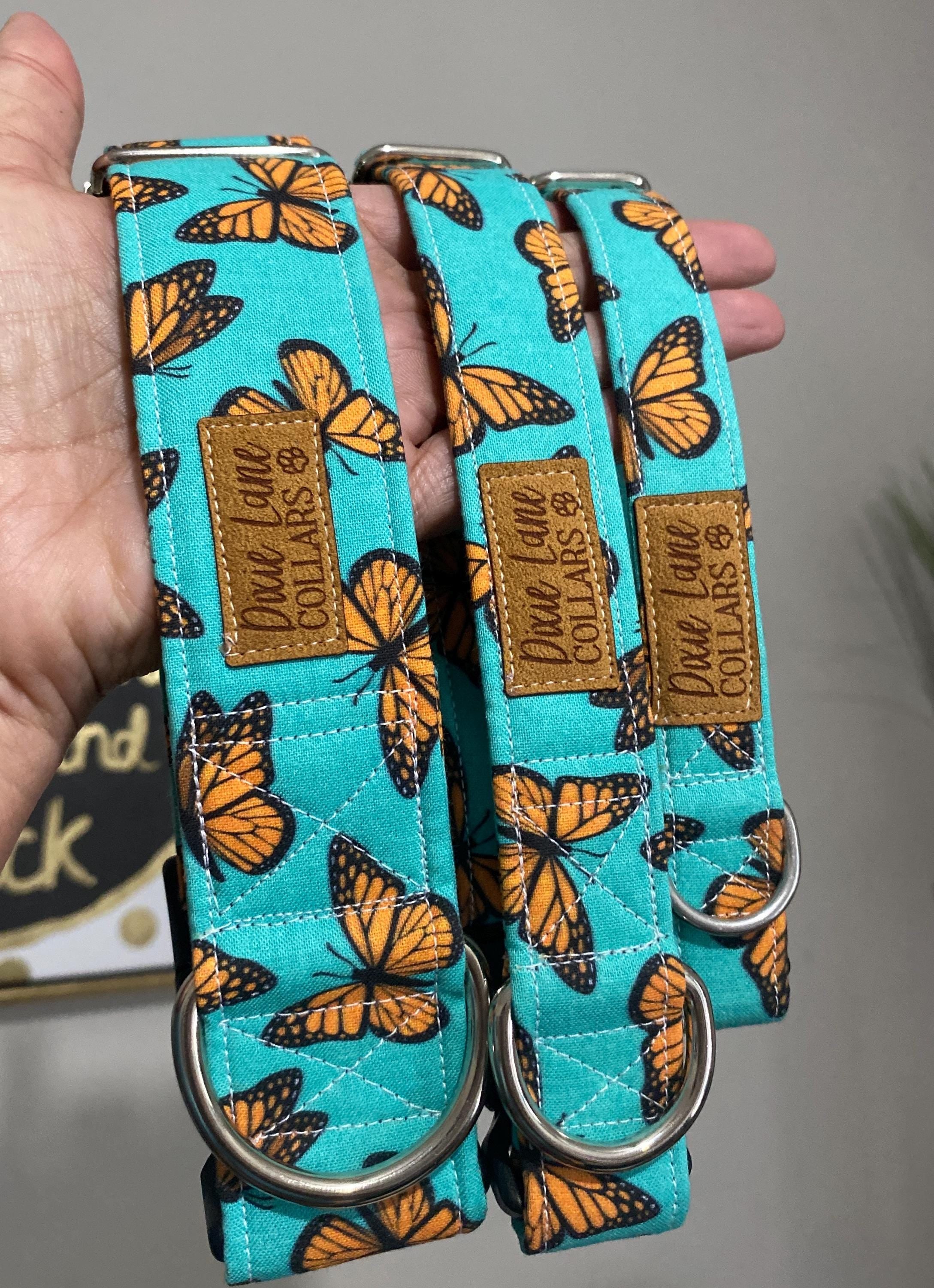 Teal and Orange Butterflies Dog Collar