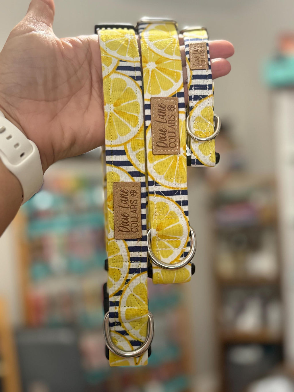 Yellow Lemon Striped Dog Collar