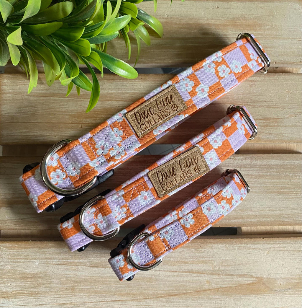 Checkered Daisies Dog Collar