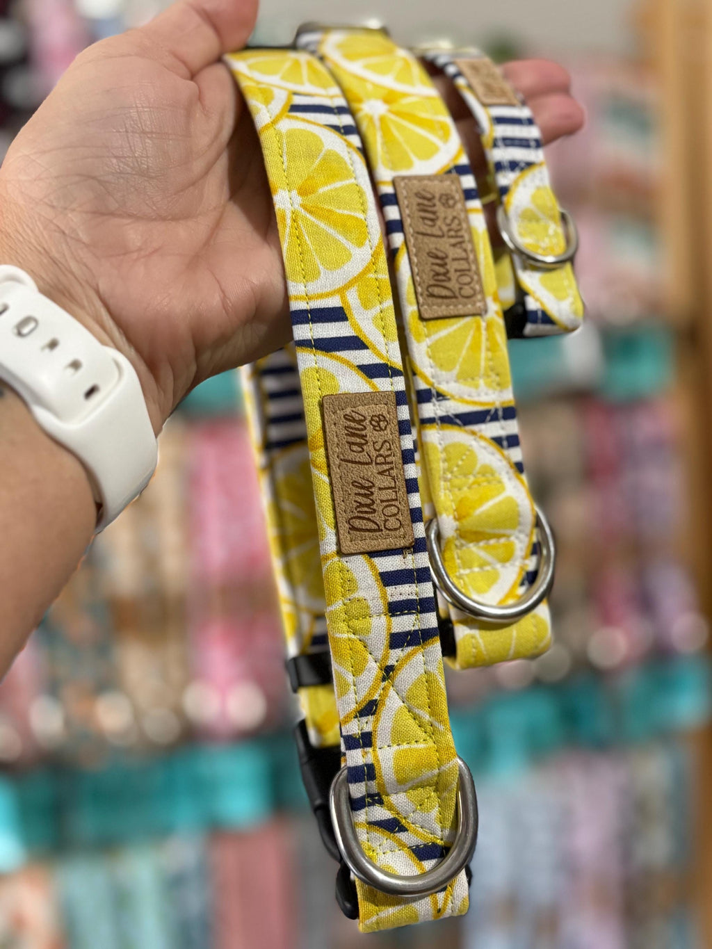 Yellow Lemon Striped Dog Collar