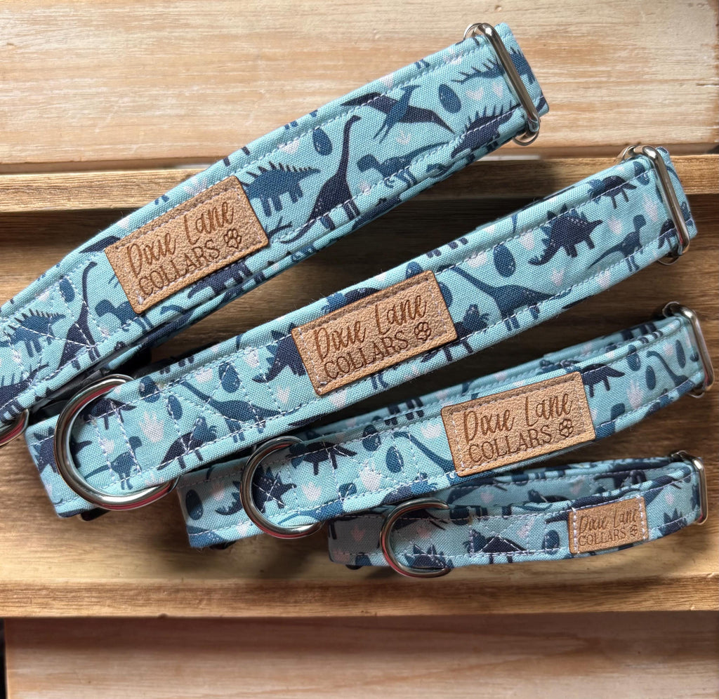 Blue Dinosaur Dog Collar