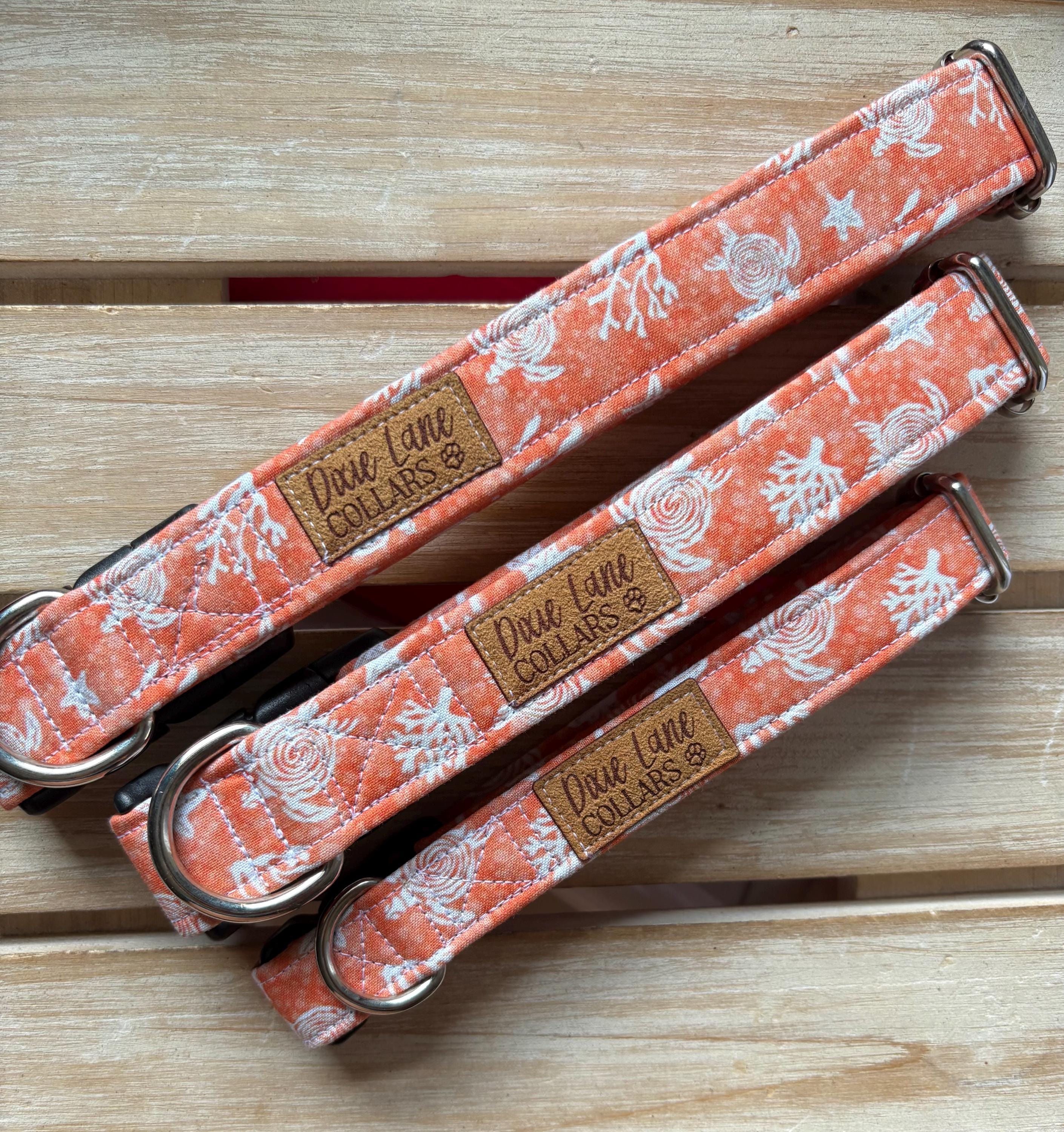 Sea Turtles on Orange Dog Collar