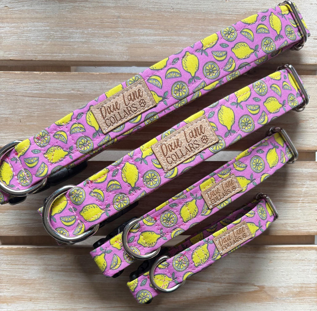 Pink Lemons Dog Collar
