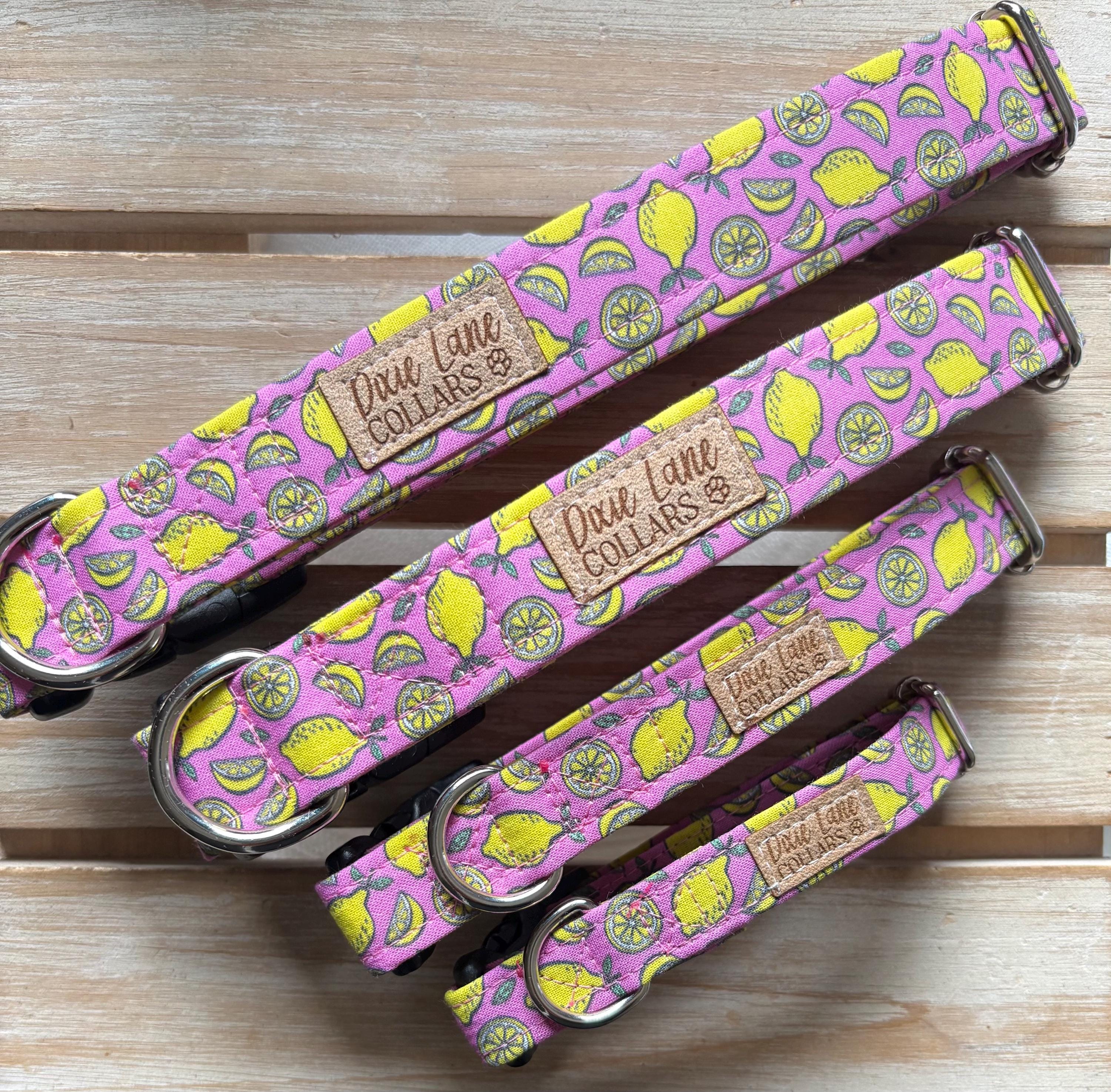 Pink Lemons Dog Collar