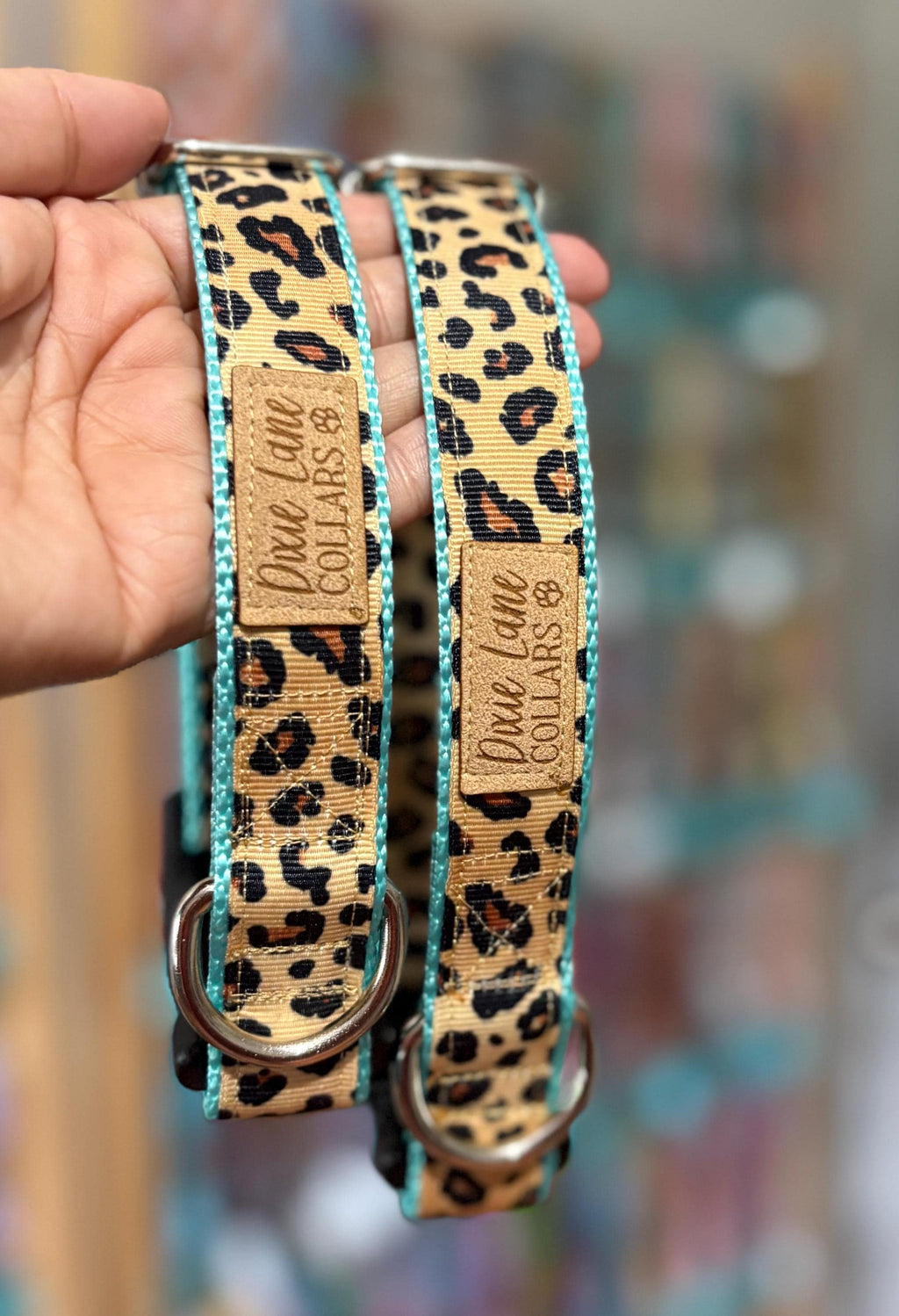 Teal Leopard Ribbon Dog Collar