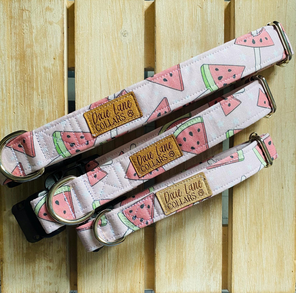 Pink Watermelon Popsicle Dog Collar