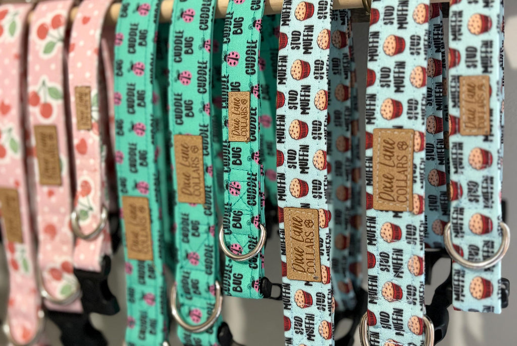 Stud Muffin Dog Collar