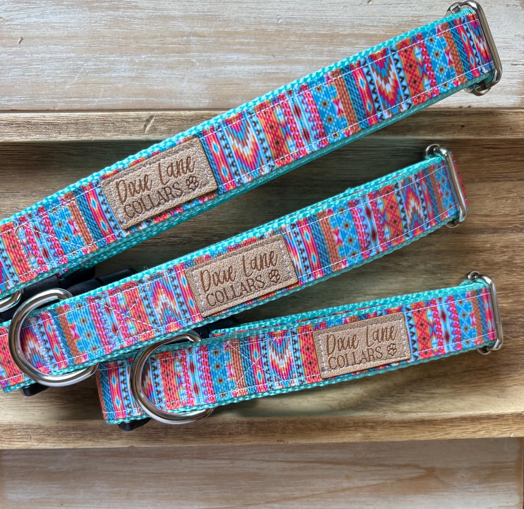 Coastal Cowgirl Dog Collar