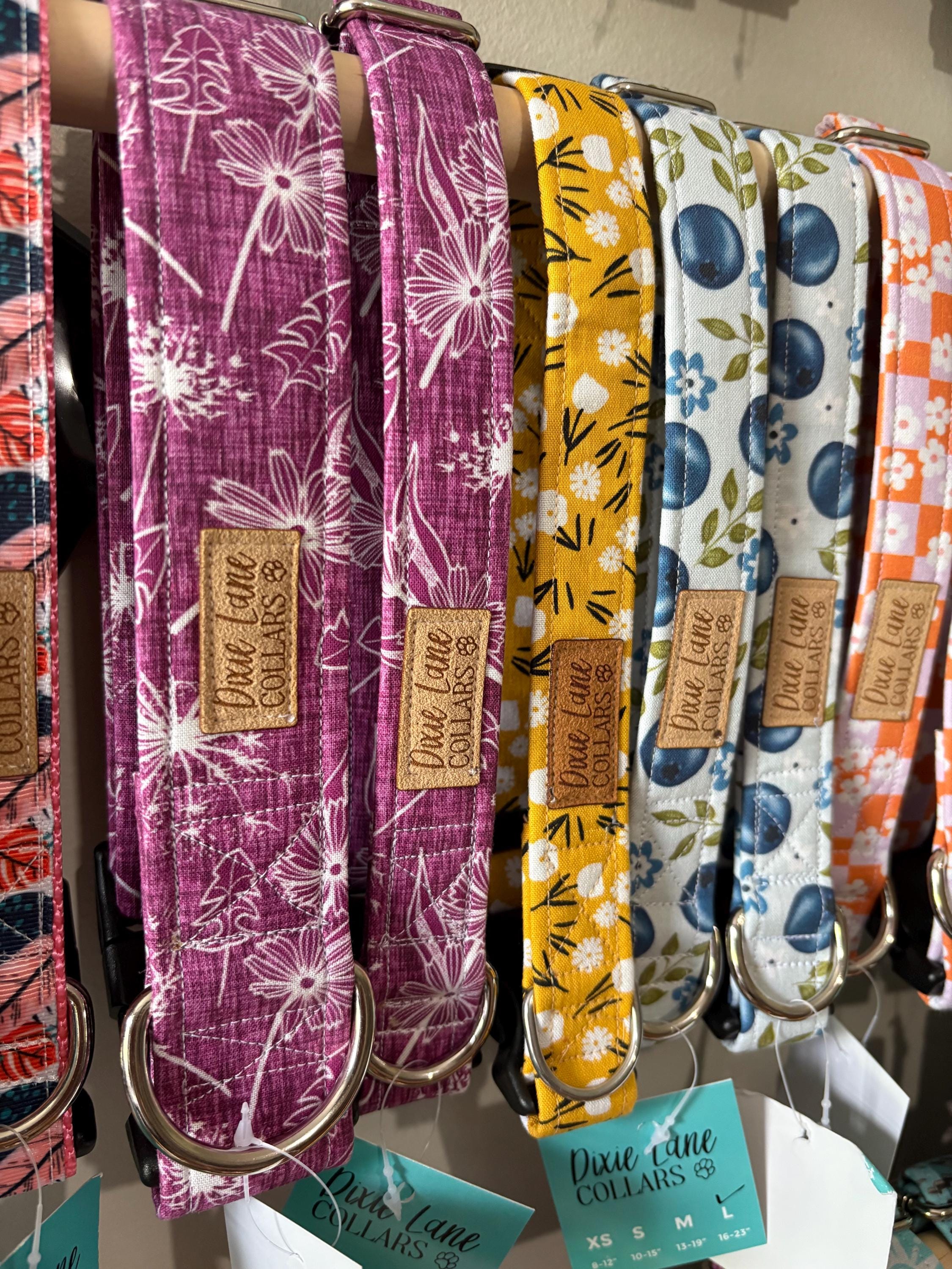 Dandelions Dog Collar