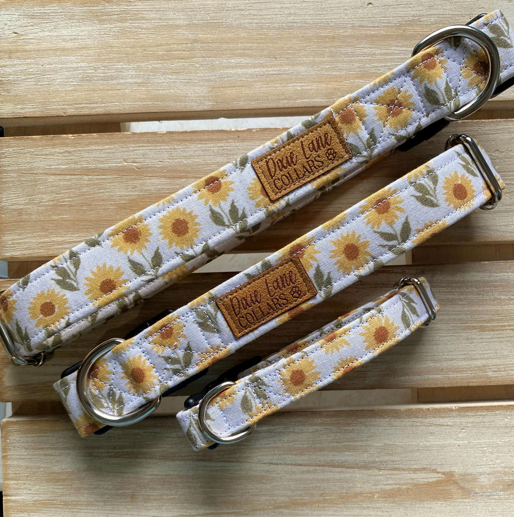 Vintage Sunflower Field Dog Collar