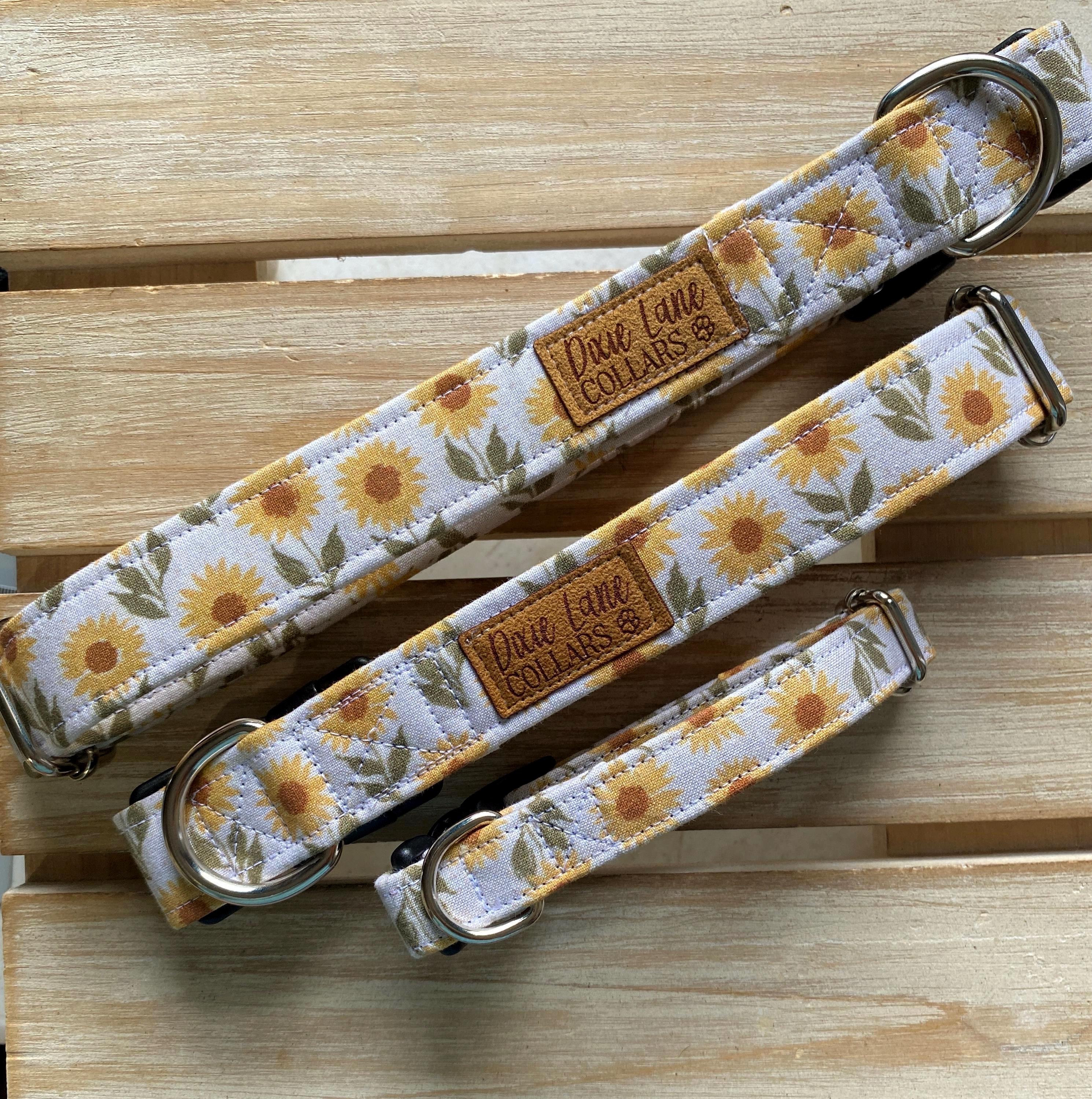 Vintage Sunflower Field Dog Collar