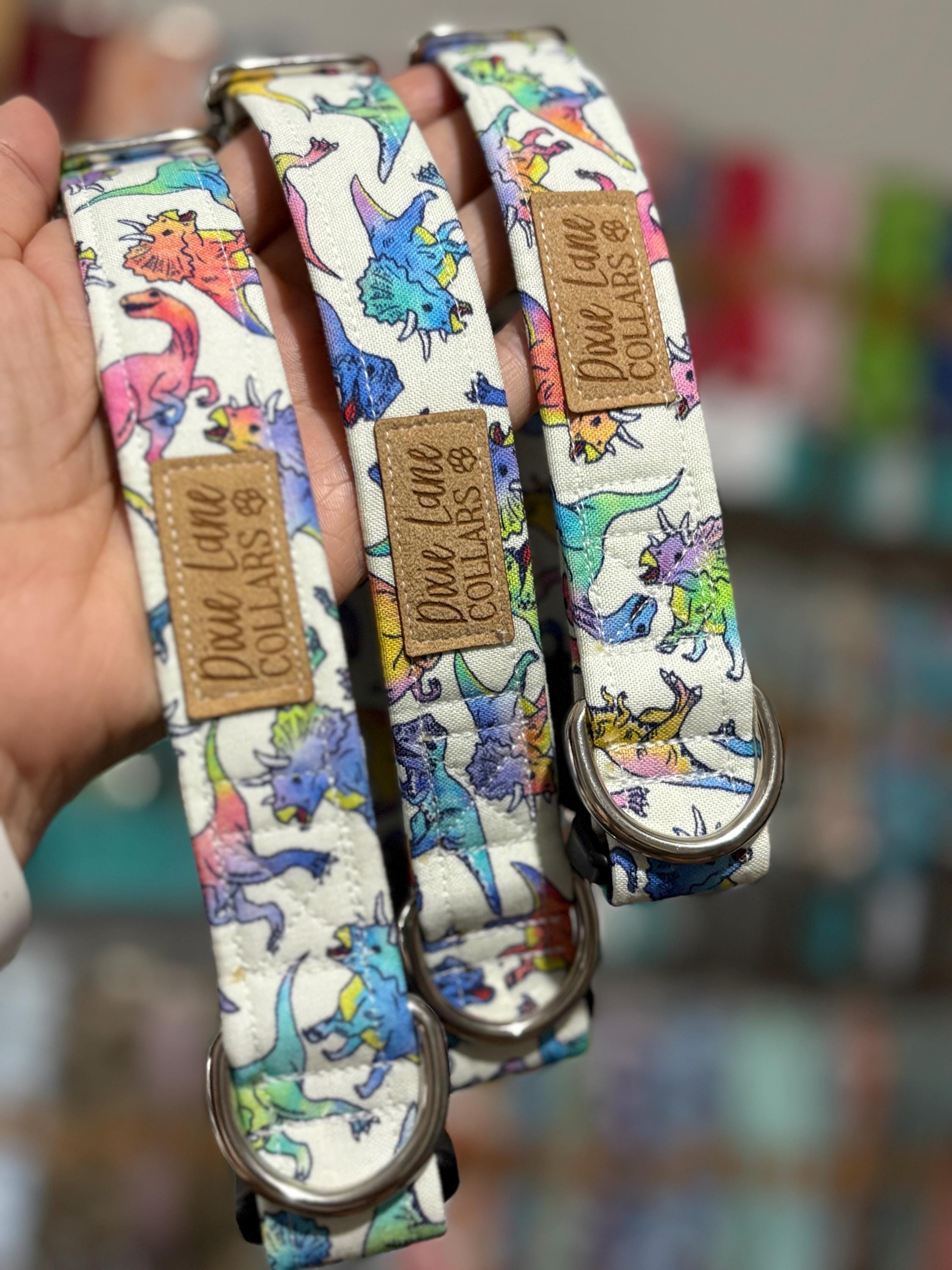 Rainbow Dinosaur Dog Collar
