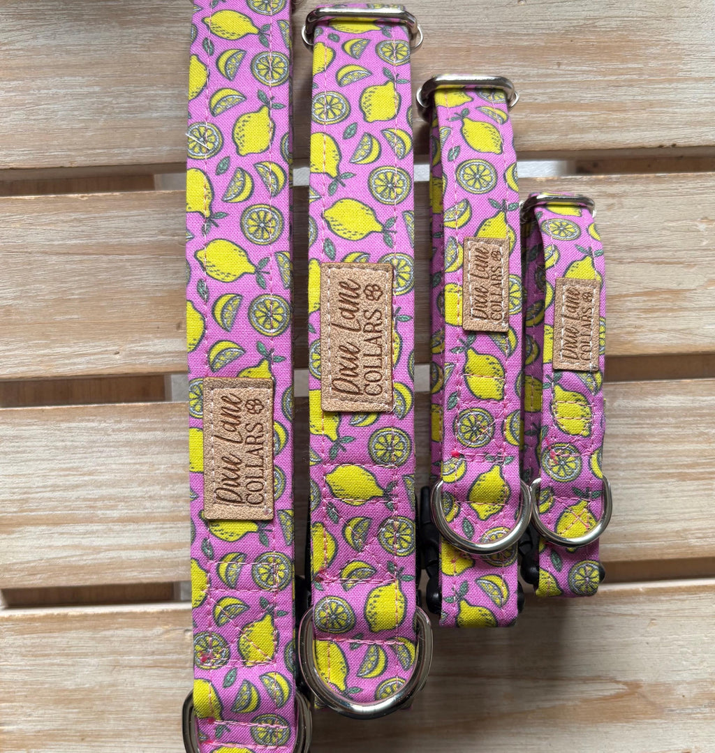 Pink Lemons Dog Collar