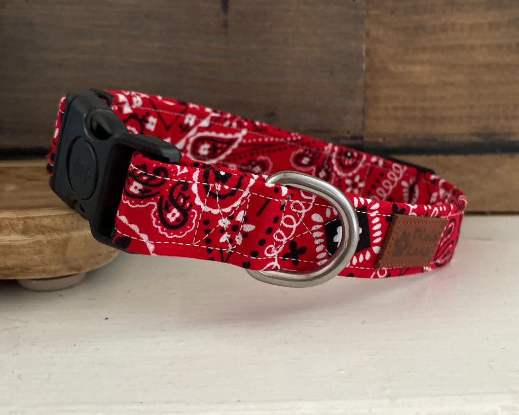 Red Bandana Western Dog Collar