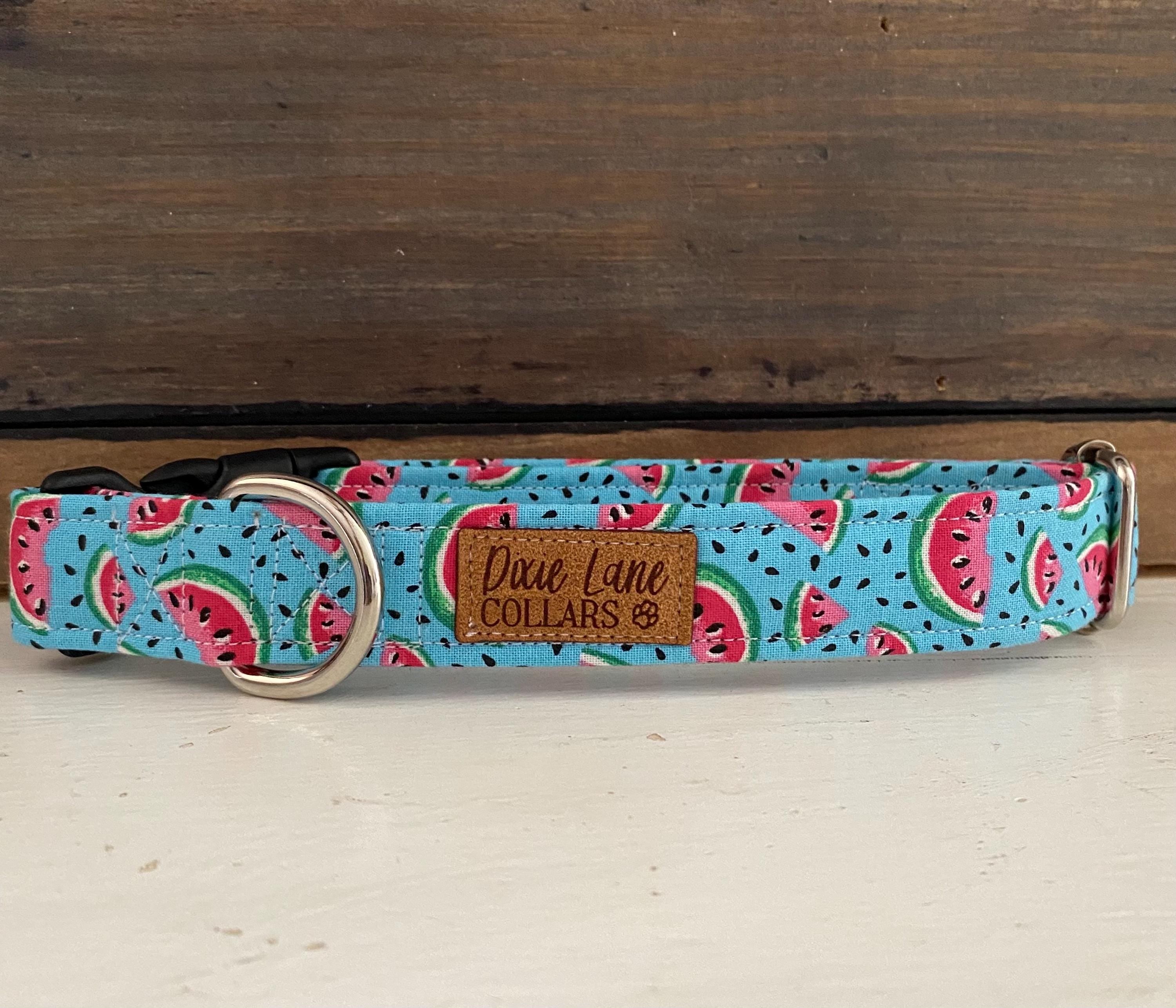 Teal  Watermelons Dog Collar