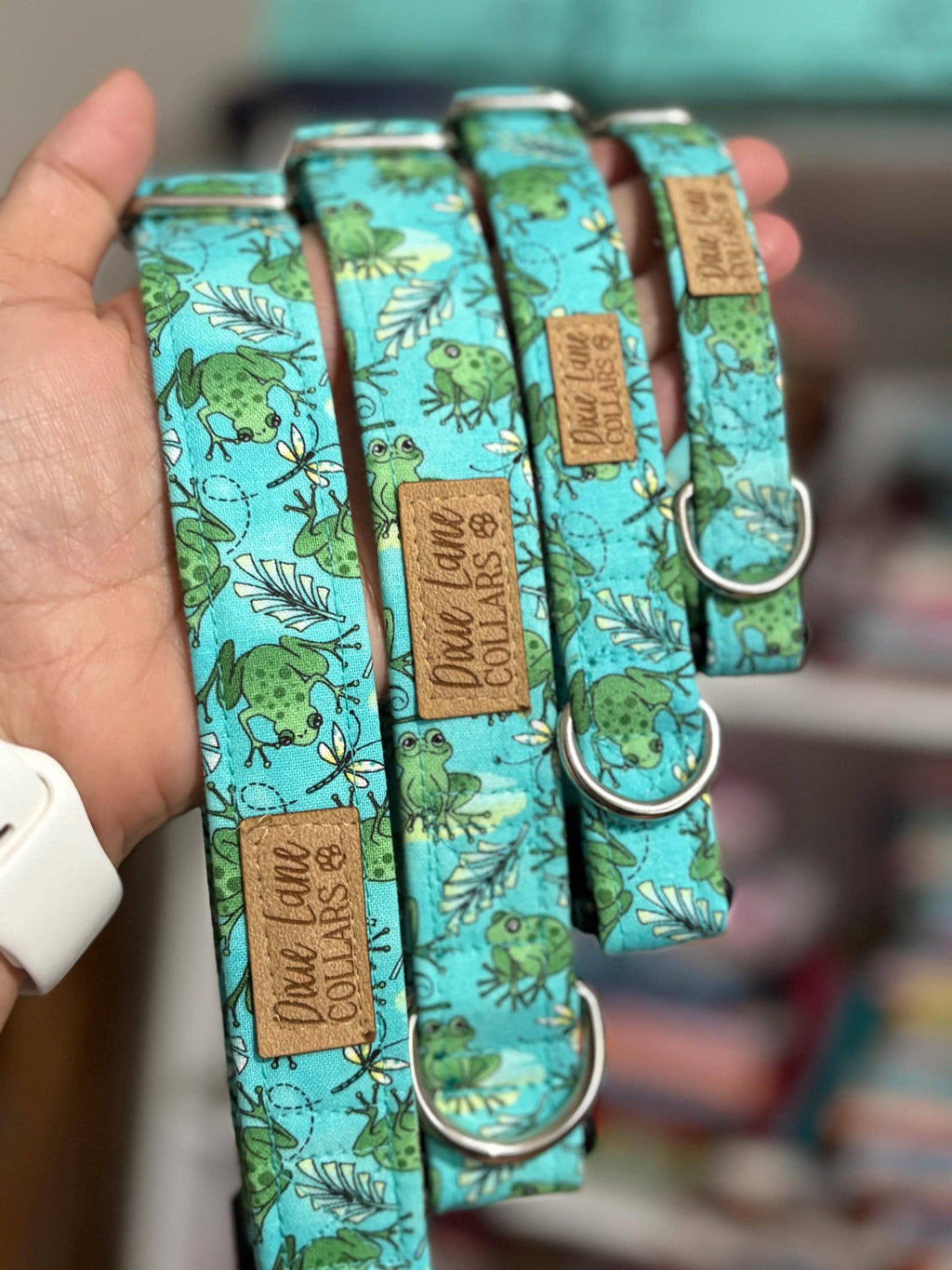 Feeling Froggy Dog Collar
