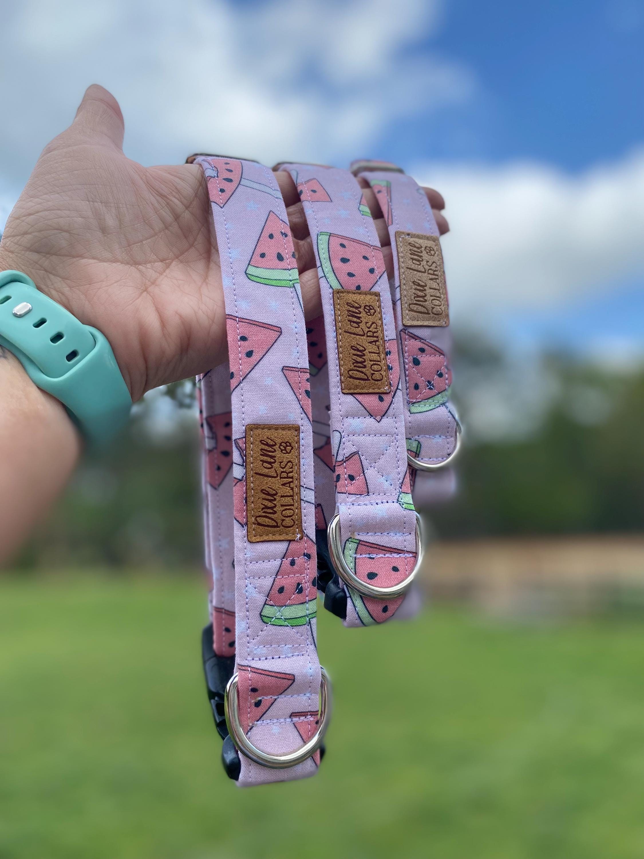Pink Watermelon Popsicle Dog Collar