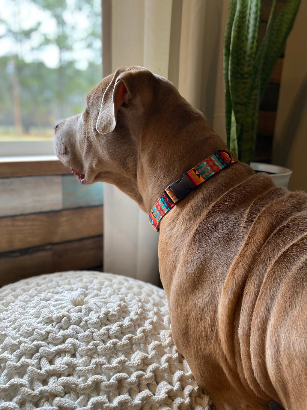 Brown Aztec Western Dog Collar