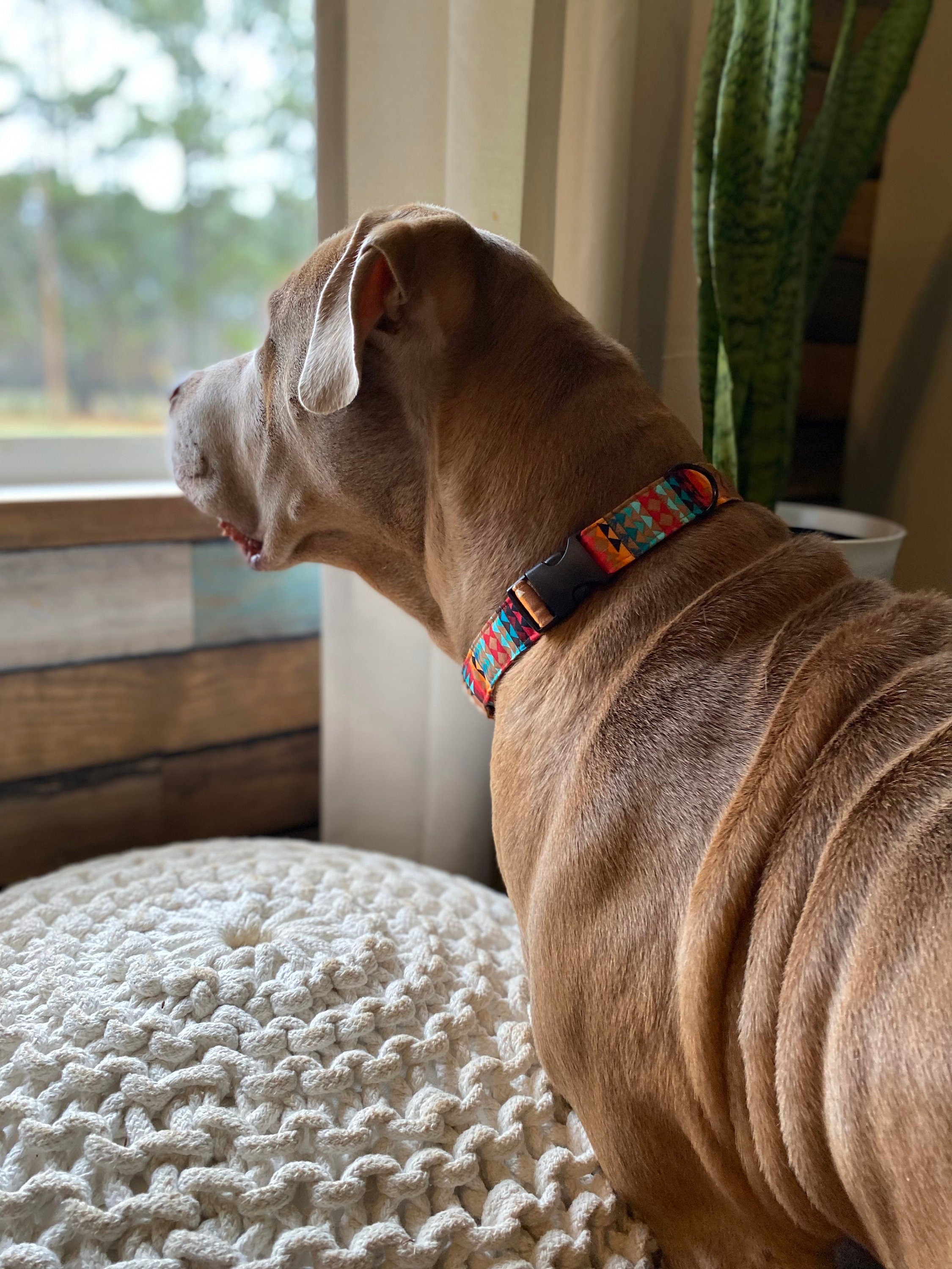 Brown Aztec Western Dog Collar