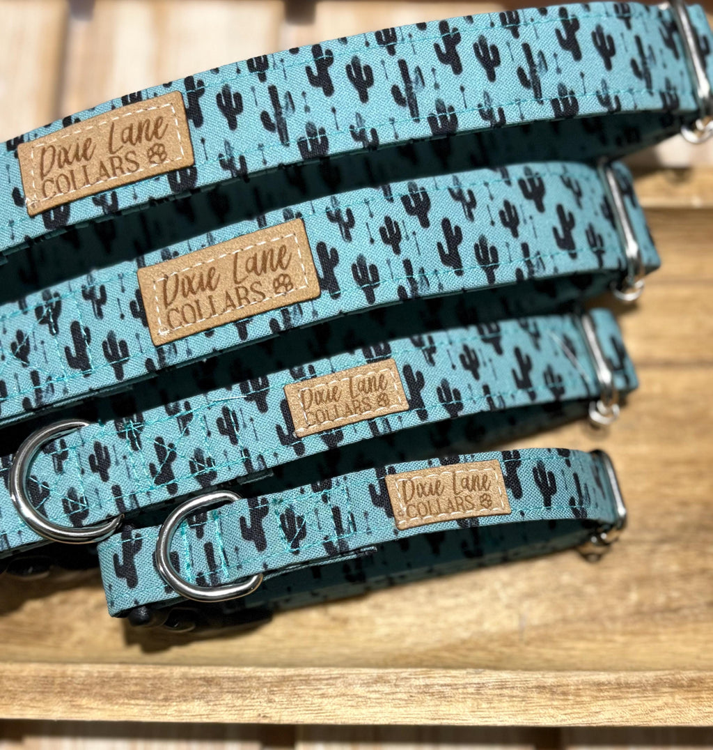 Teal Western Cactus Dog Collar