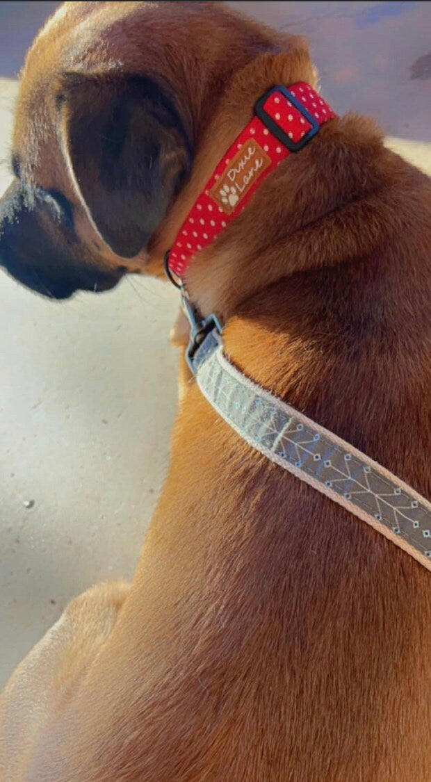 Red Polka Dot Dog Collar