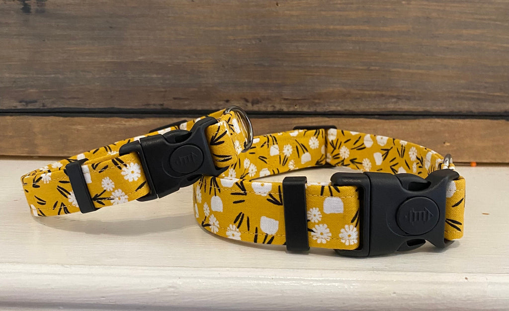 Yellow Floral Dog Collar