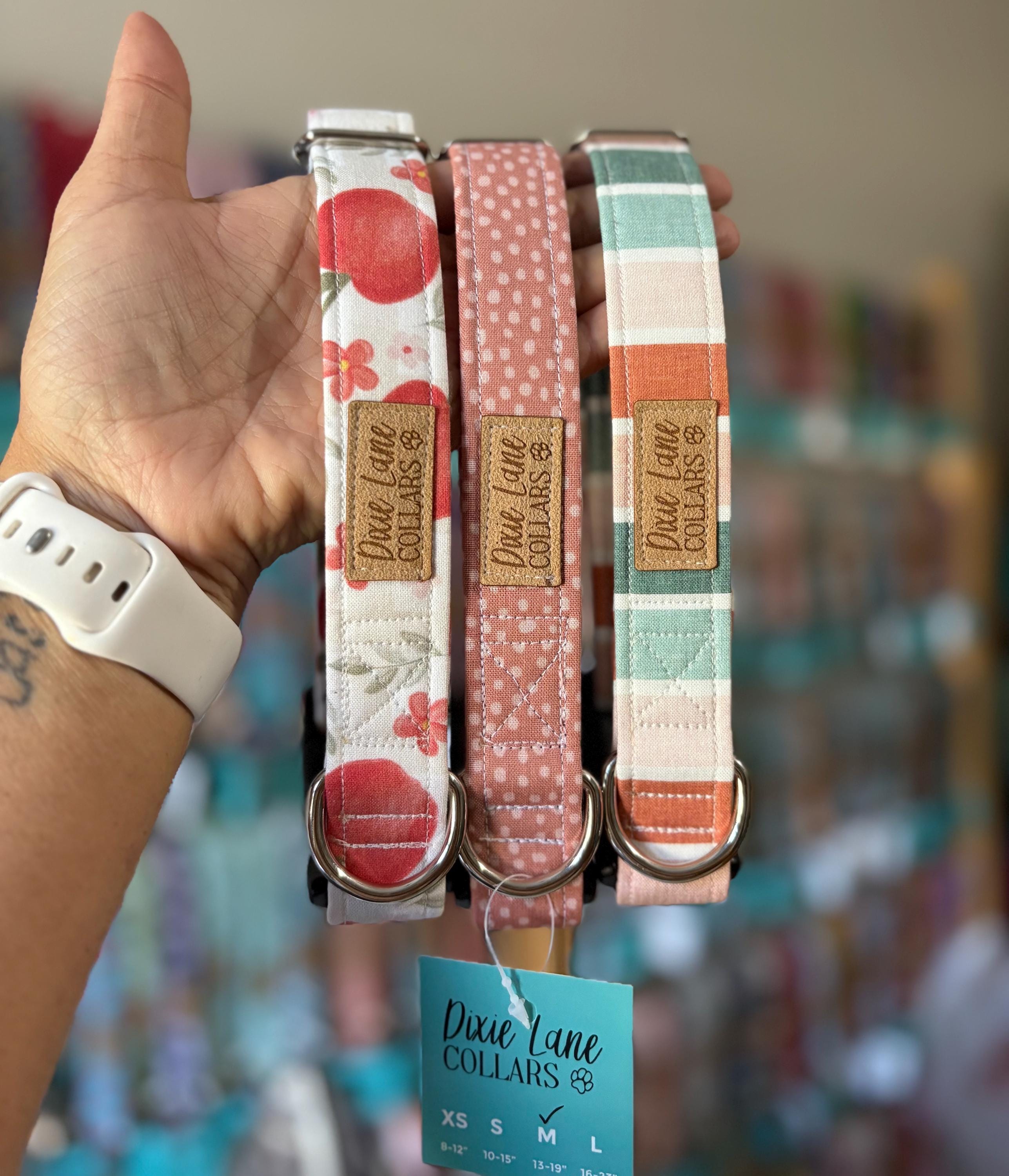 Terra cotta and Blue Sunset Stripe Dog Collar