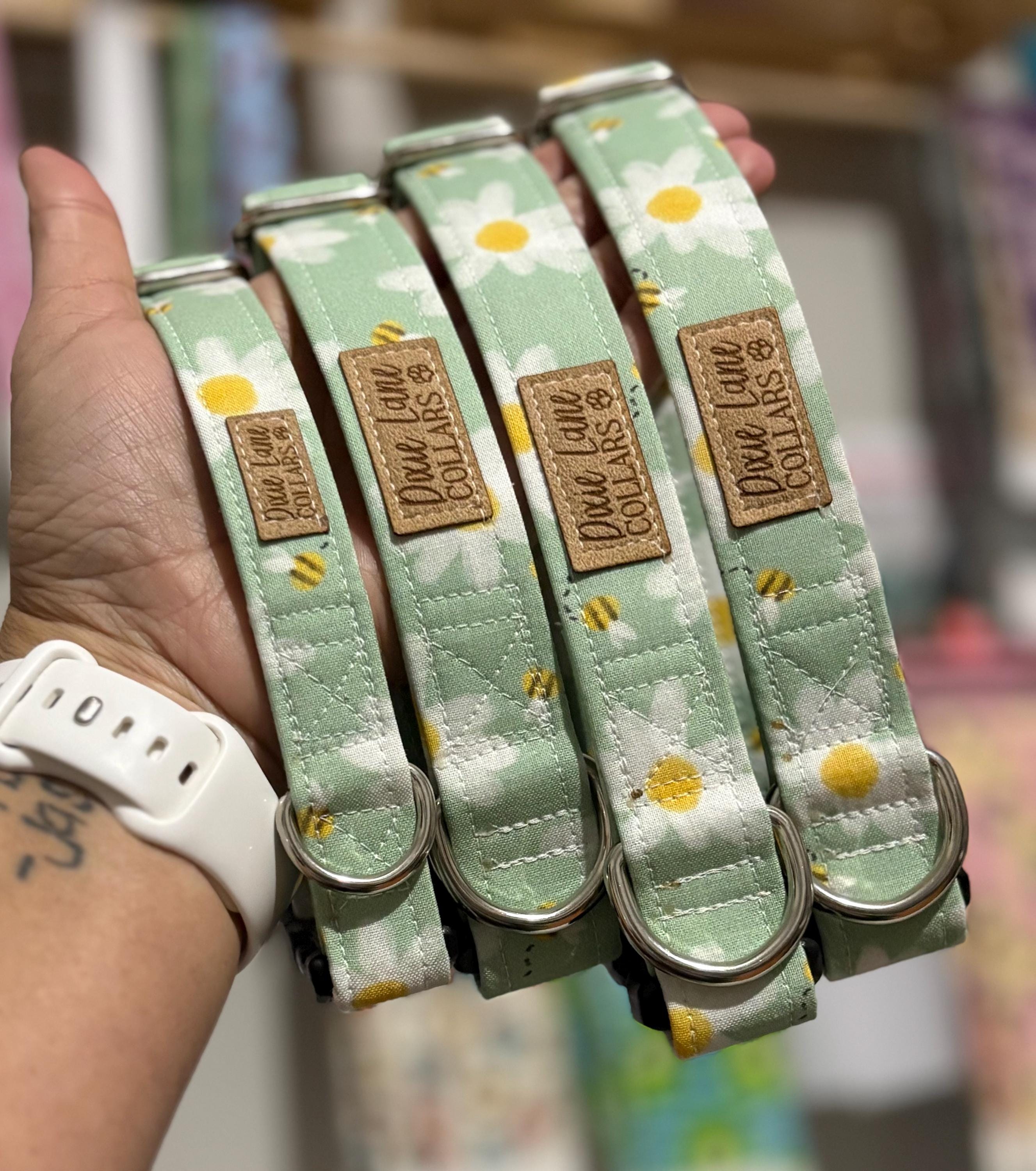 Green Daisies and Bees Dog Collar