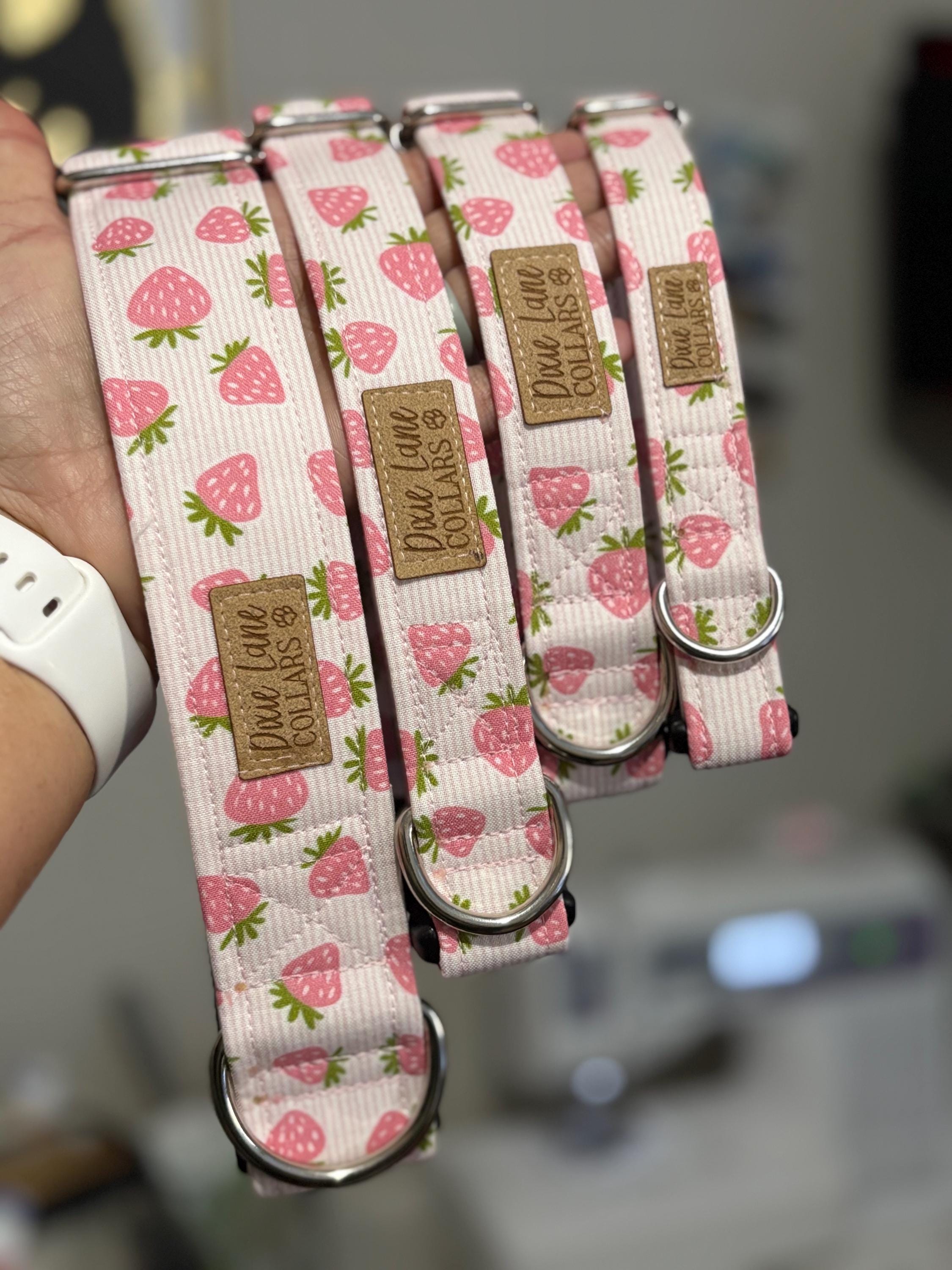 Pink Strawberry Toss Dog Collar