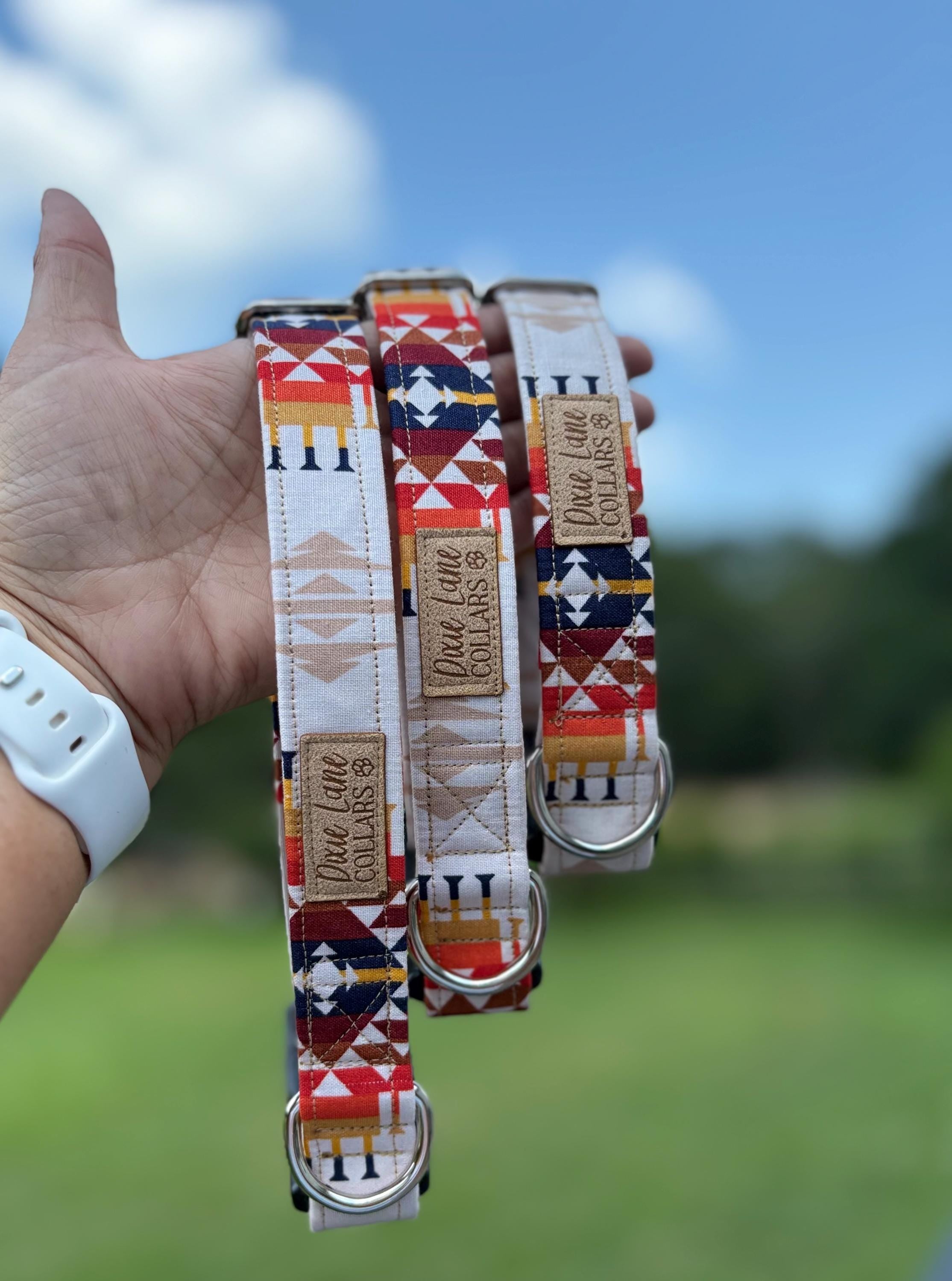 Tribal Trail Aztec Dog Collar