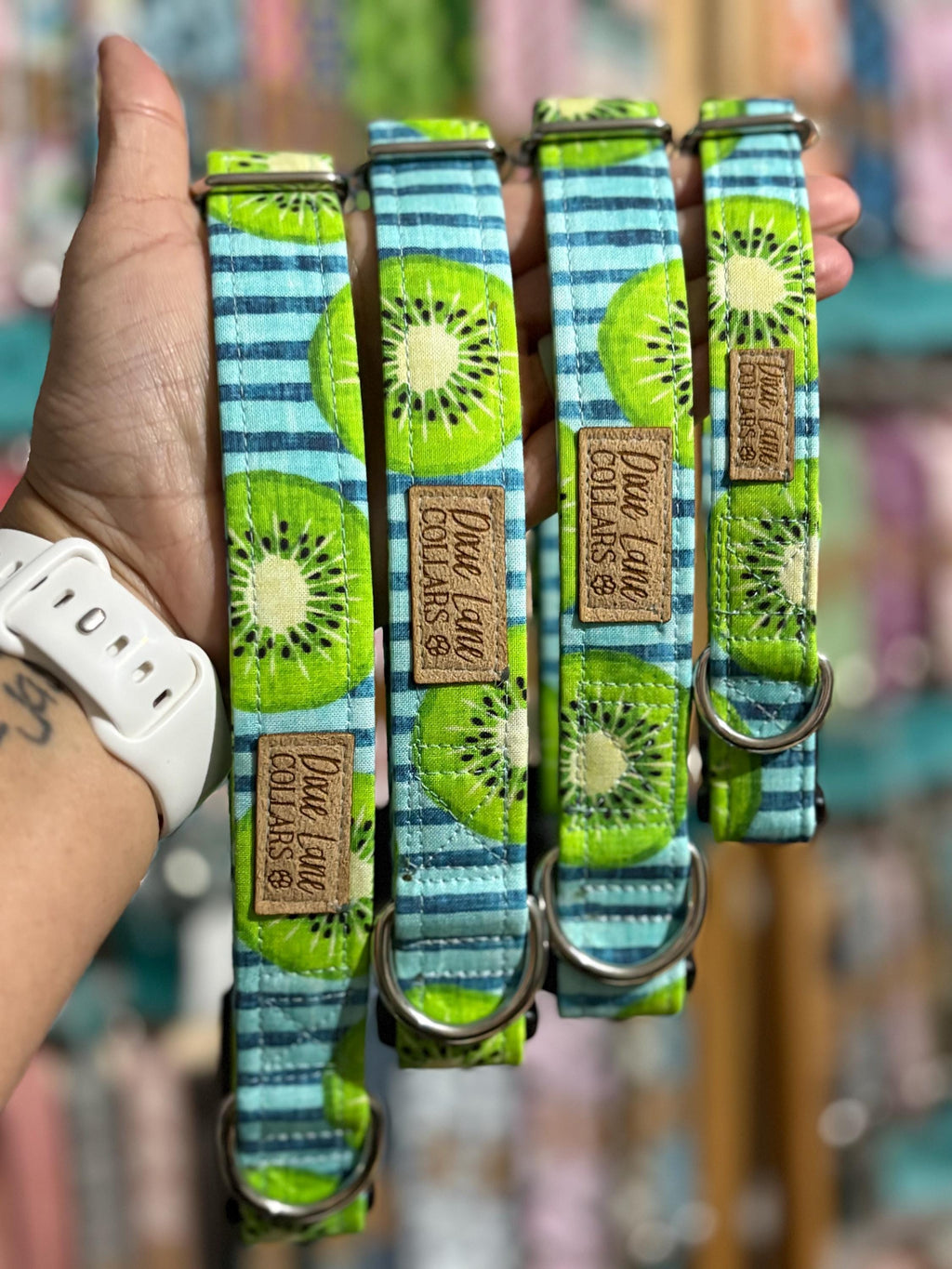 Kiwi Striped Dog Collar