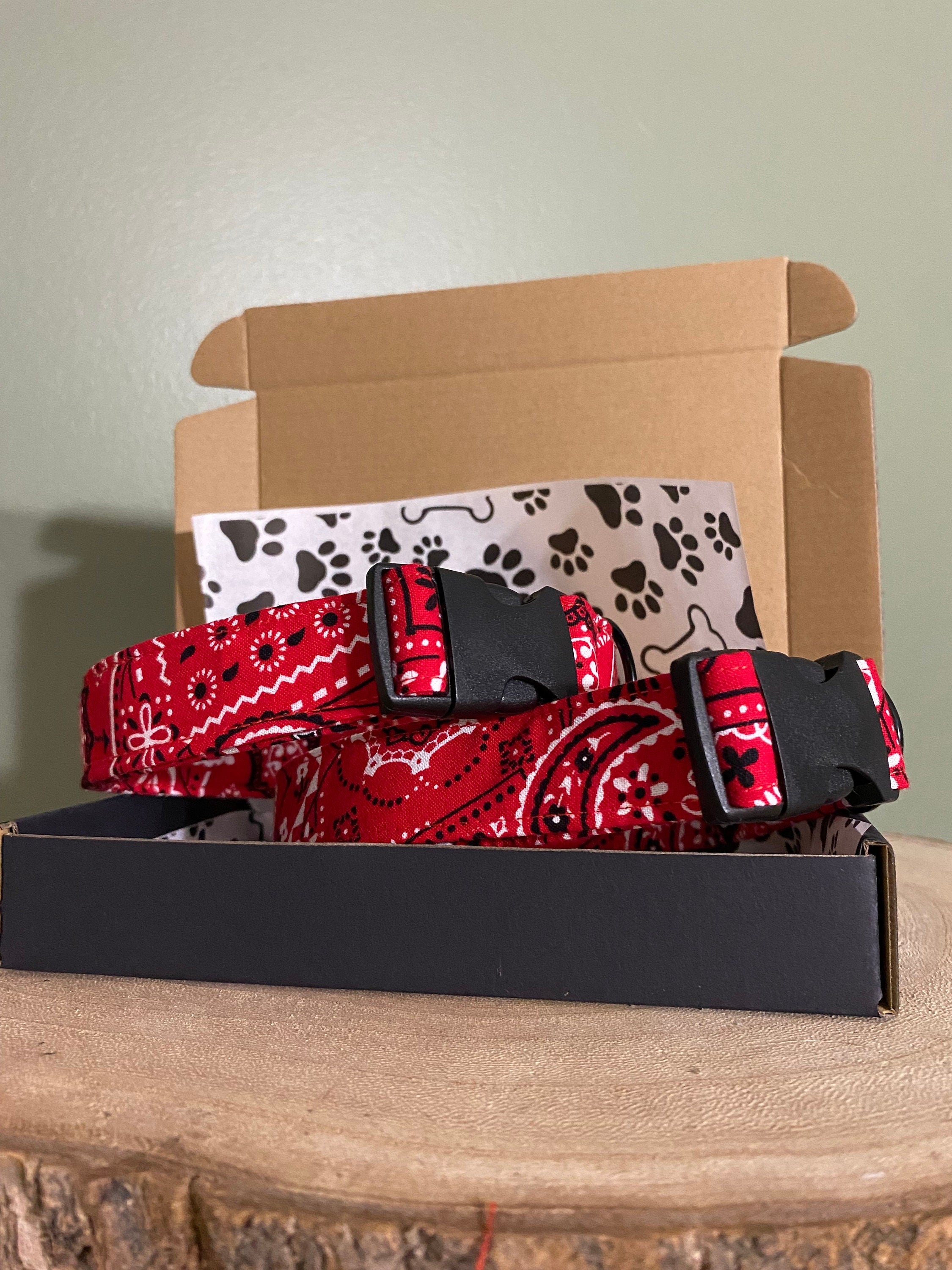 Red Bandana Western Dog Collar