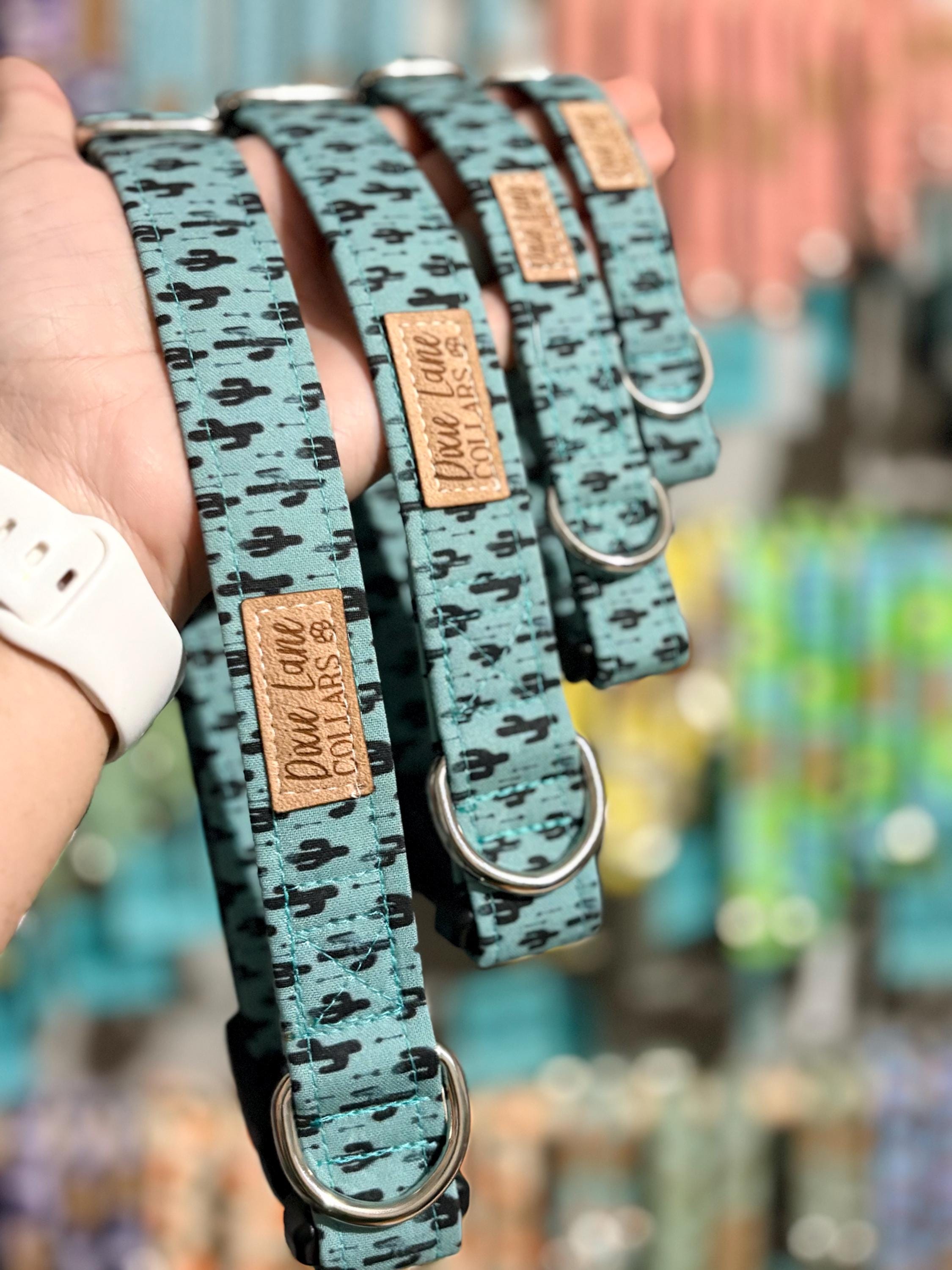 Teal Western Cactus Dog Collar