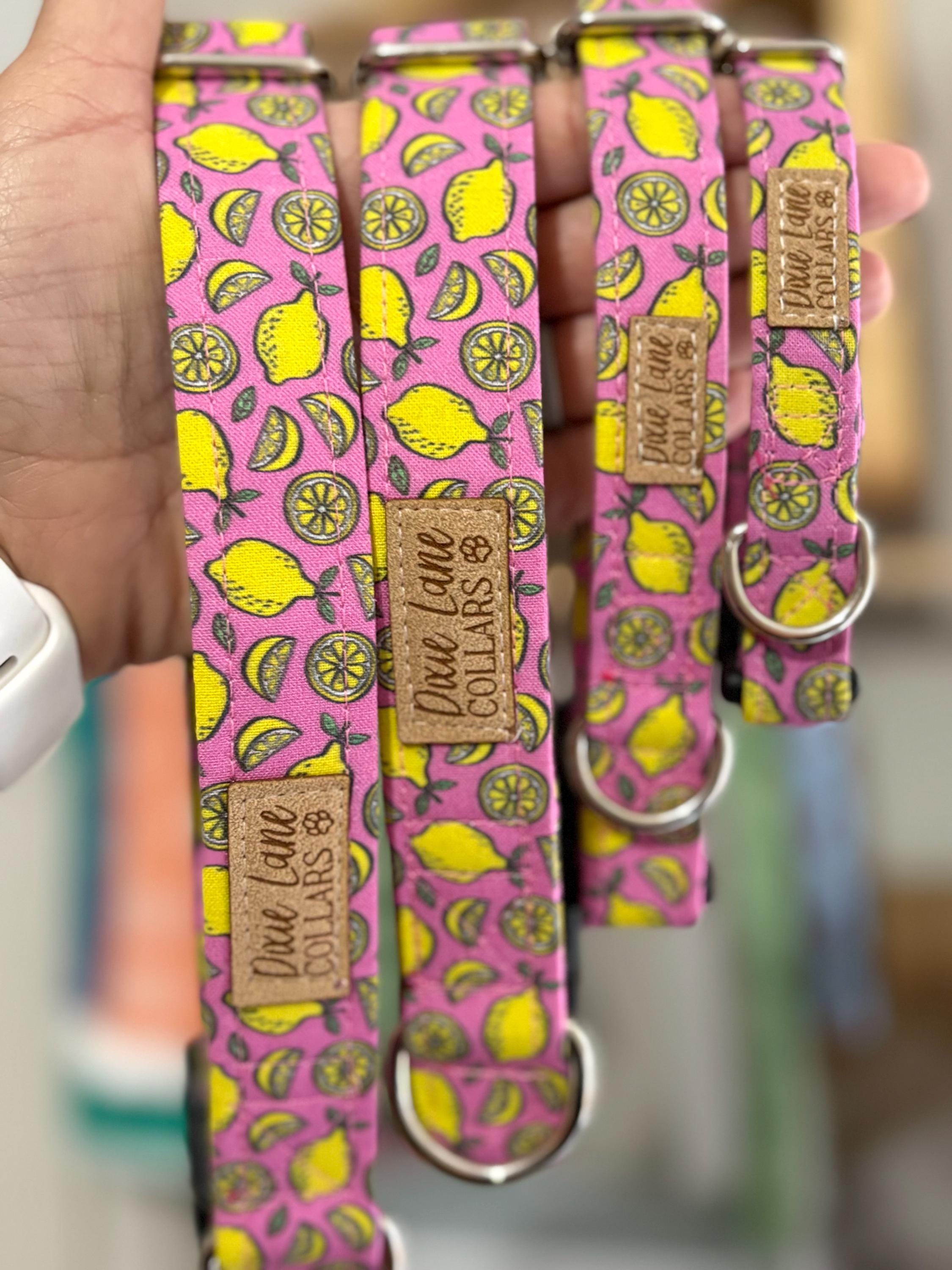 Pink Lemons Dog Collar