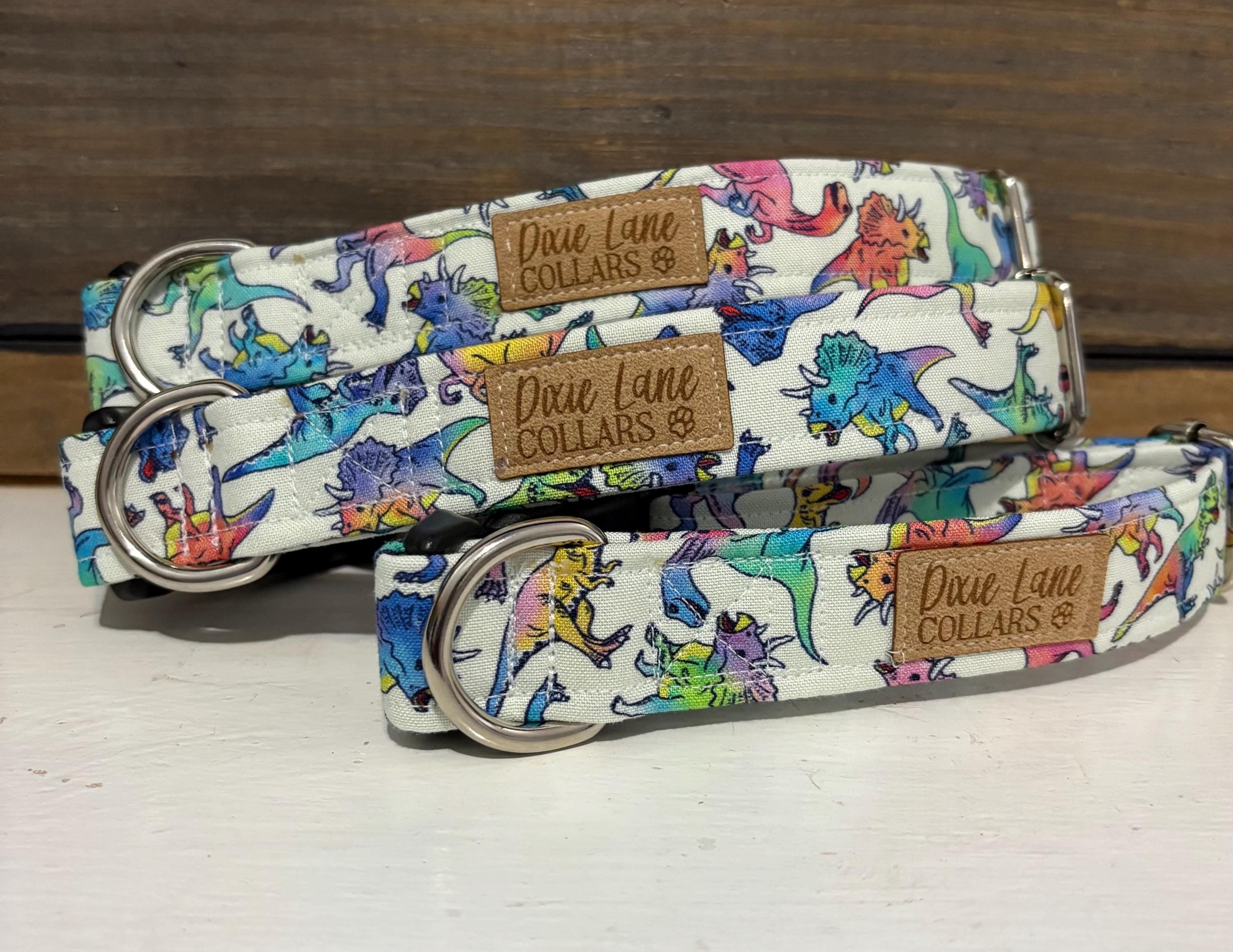 Rainbow Dinosaur Dog Collar