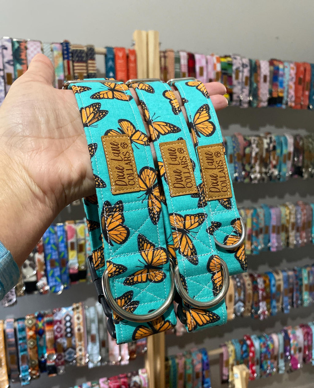 Teal and Orange Butterflies Dog Collar