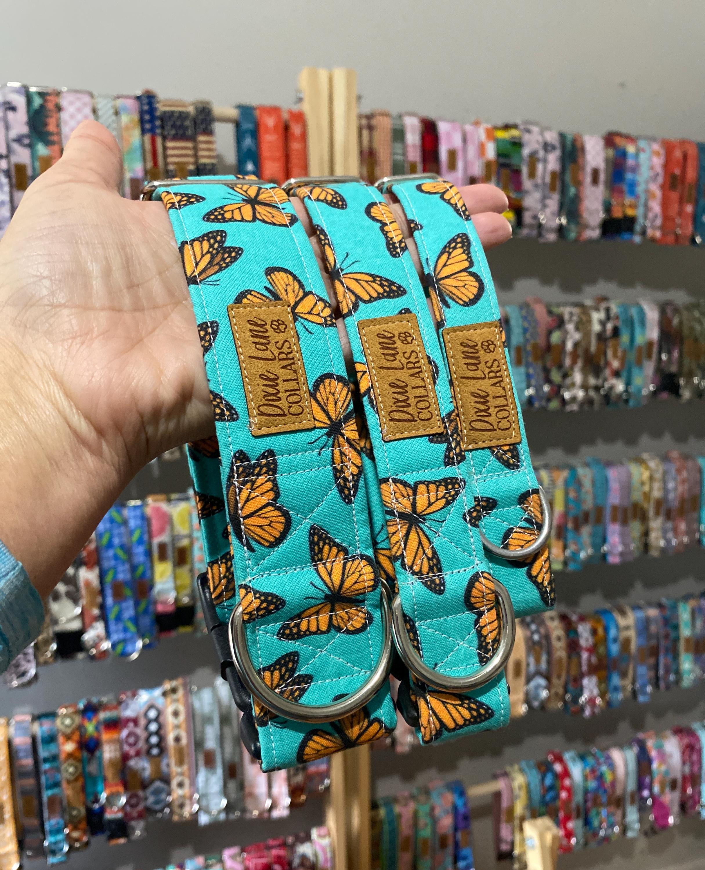 Teal and Orange Butterflies Dog Collar