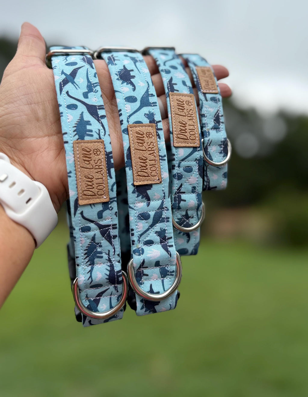 Blue Dinosaur Dog Collar