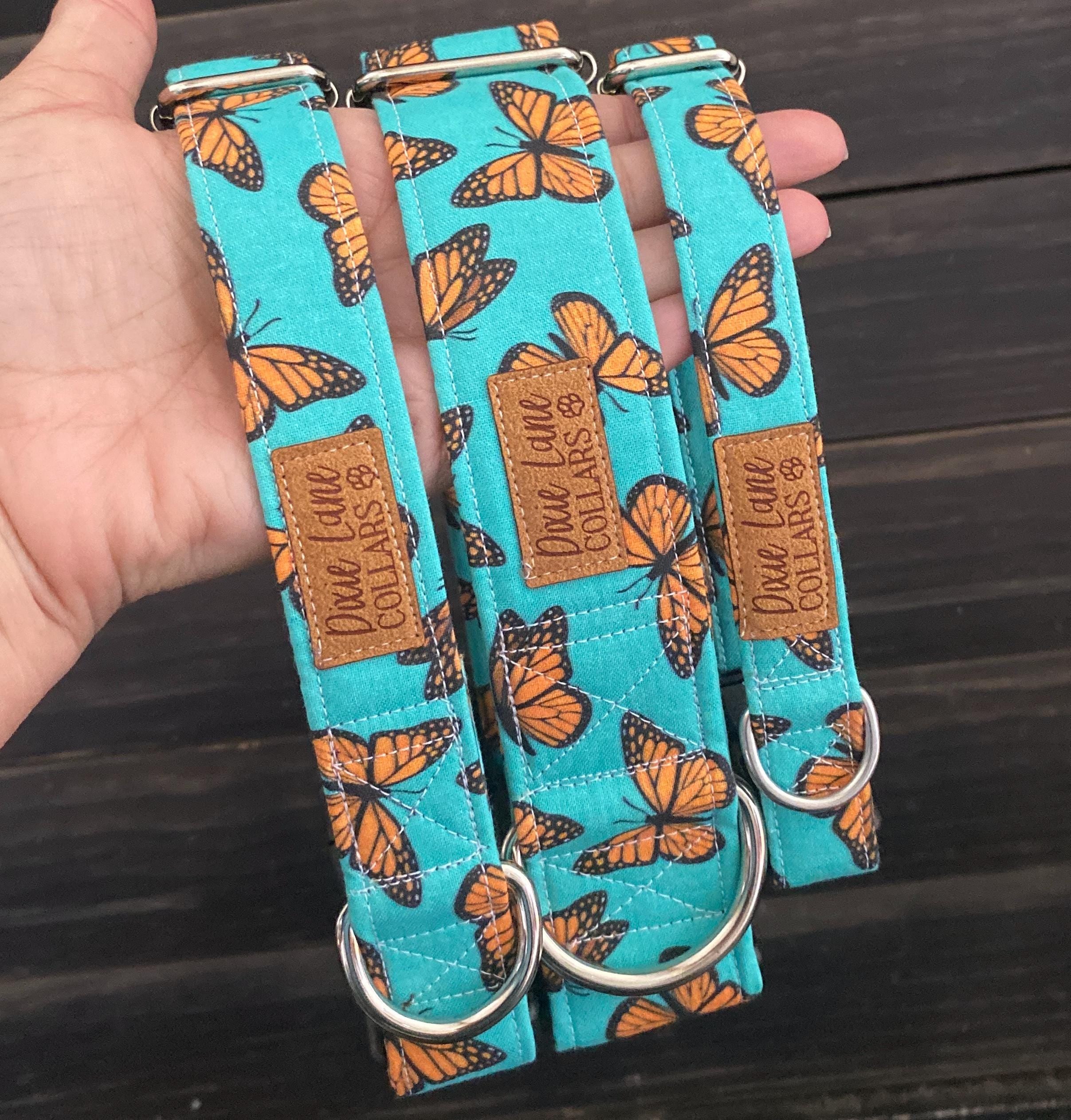 Teal and Orange Butterflies Dog Collar