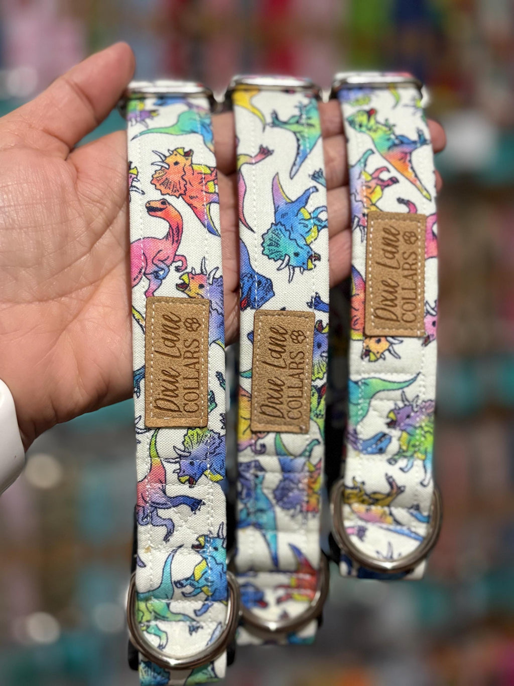 Rainbow Dinosaur Dog Collar
